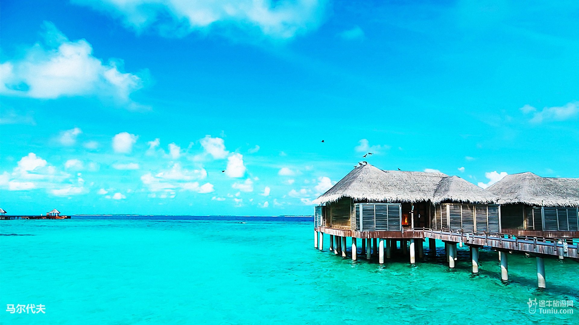 风景,旅游胜地,马尔代夫,旅行,摄影,途牛旅游,@途牛旅游网,儿童桌面专用