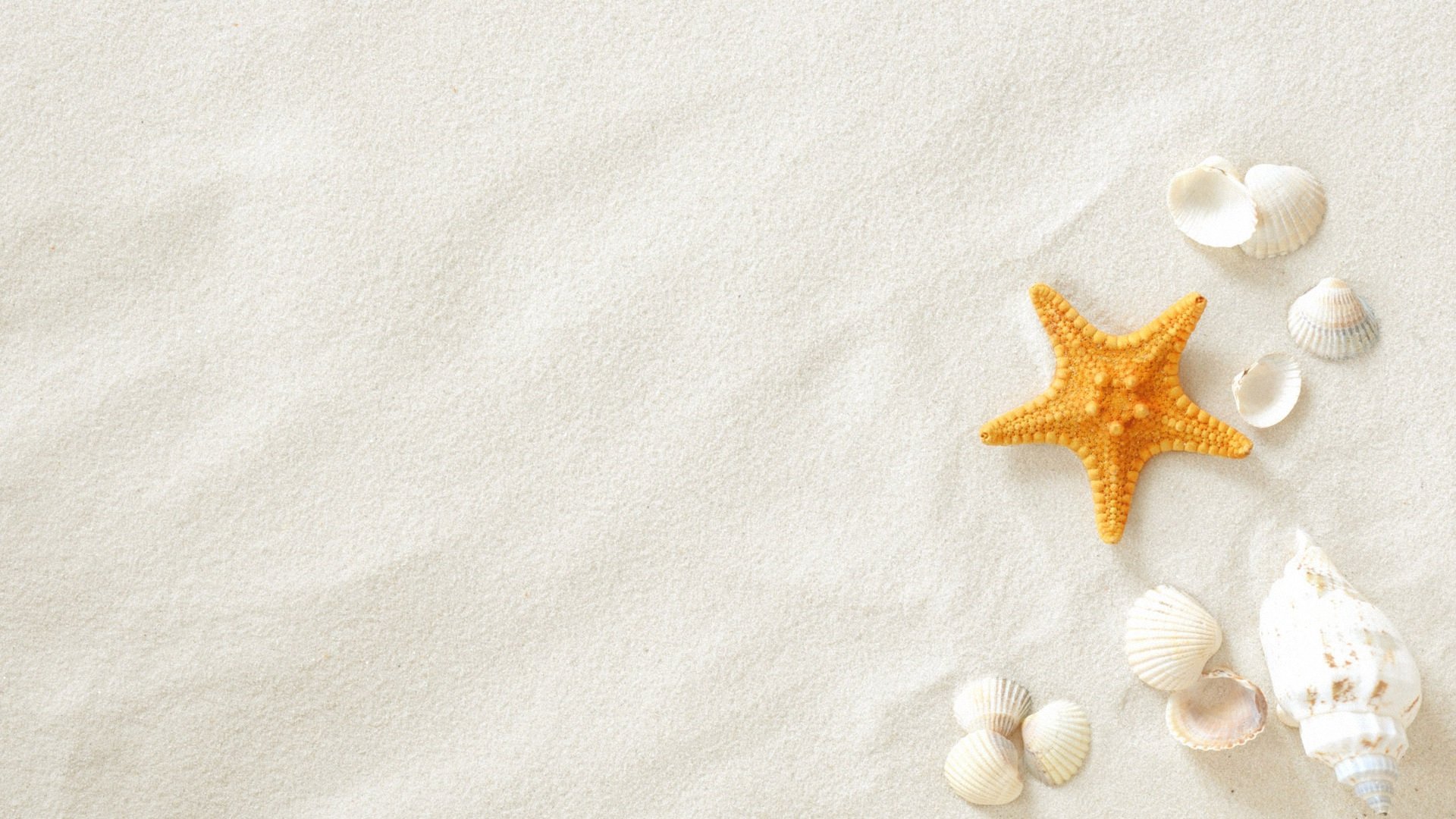 小清新,温馨一刻,儿童桌面专用