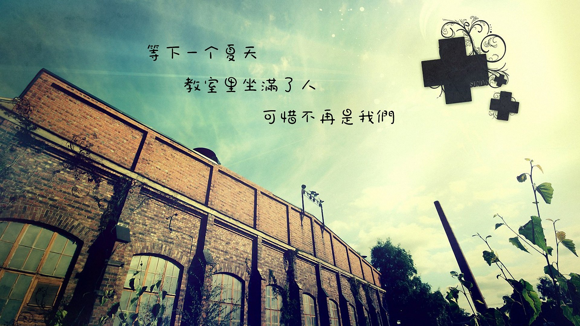 小清新,毕业季,儿童桌面专用