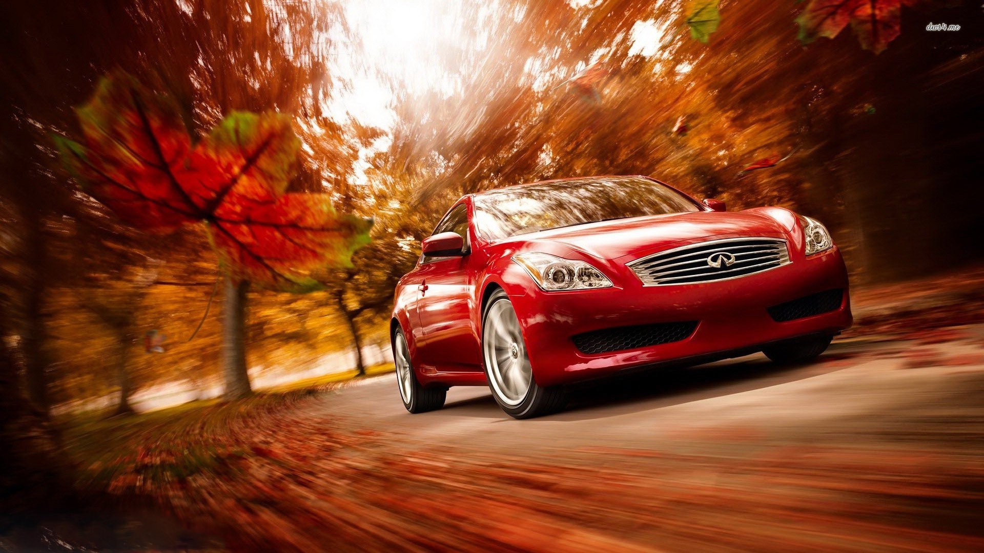 汽车,超跑,英菲尼迪,儿童桌面专用