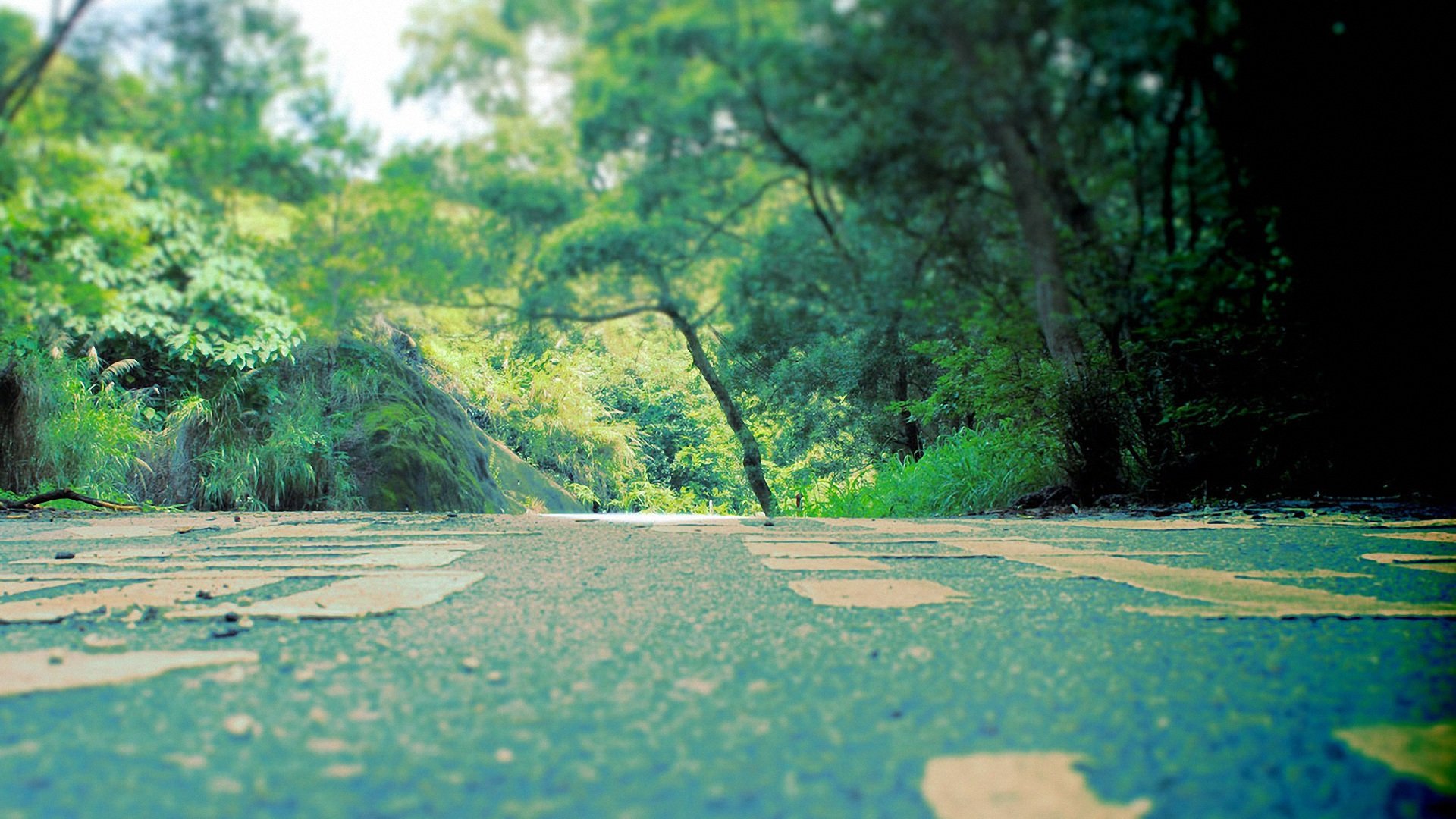 小清新,温馨一刻,儿童桌面专用