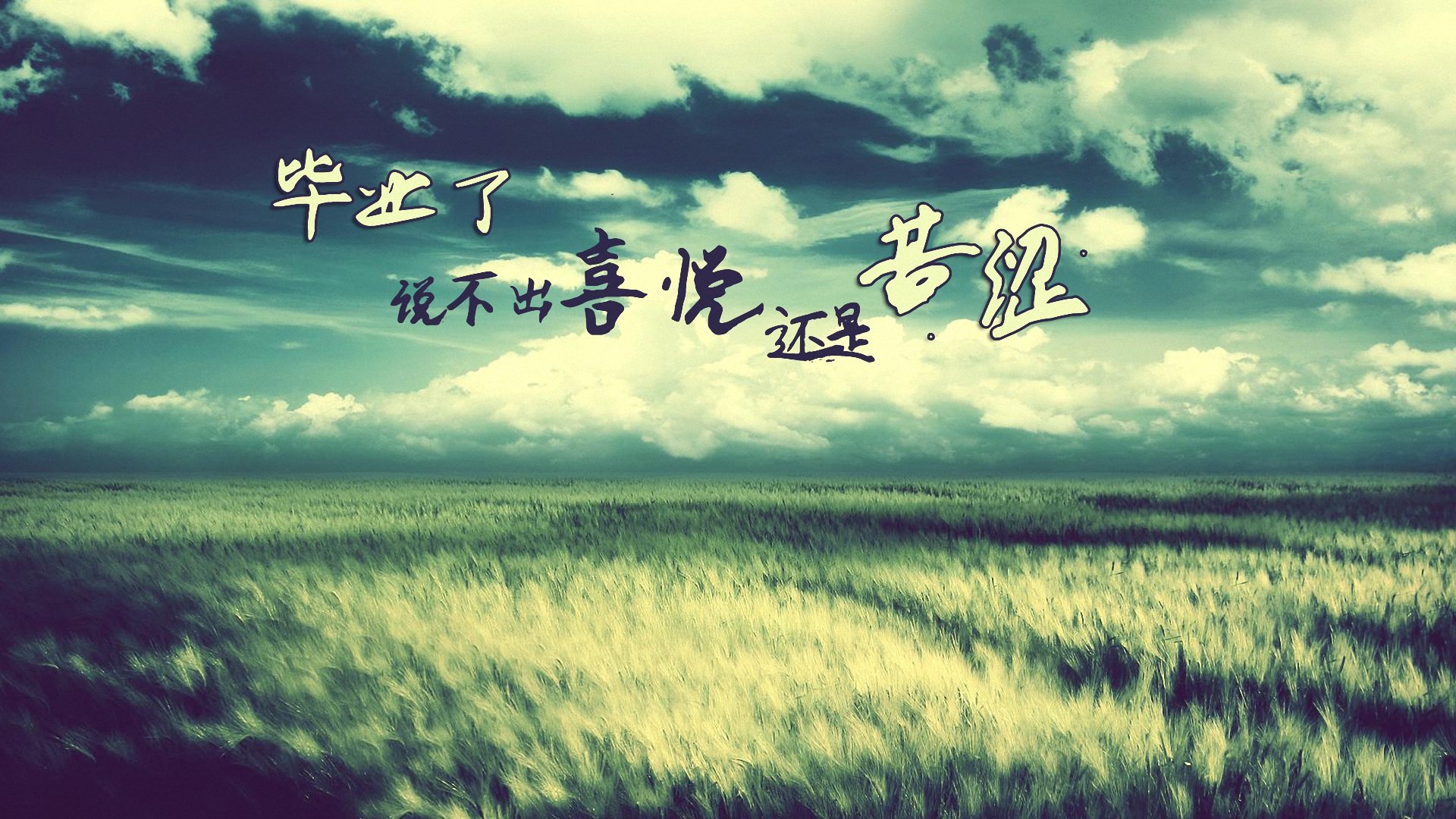 小清新,毕业季,儿童桌面专用