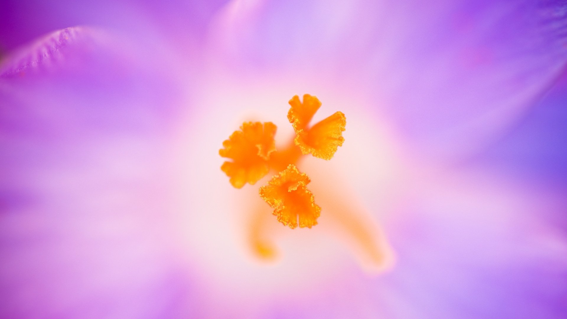 创意,设计,简约,儿童桌面专用