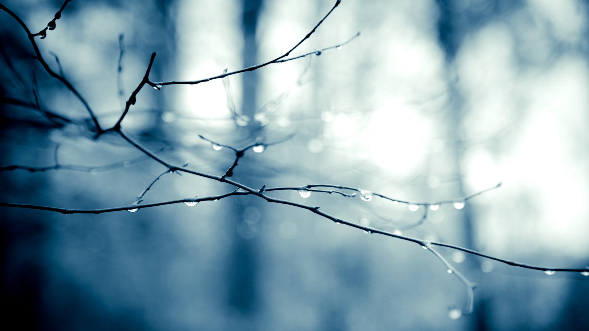 小清新,温馨一刻,儿童桌面专用