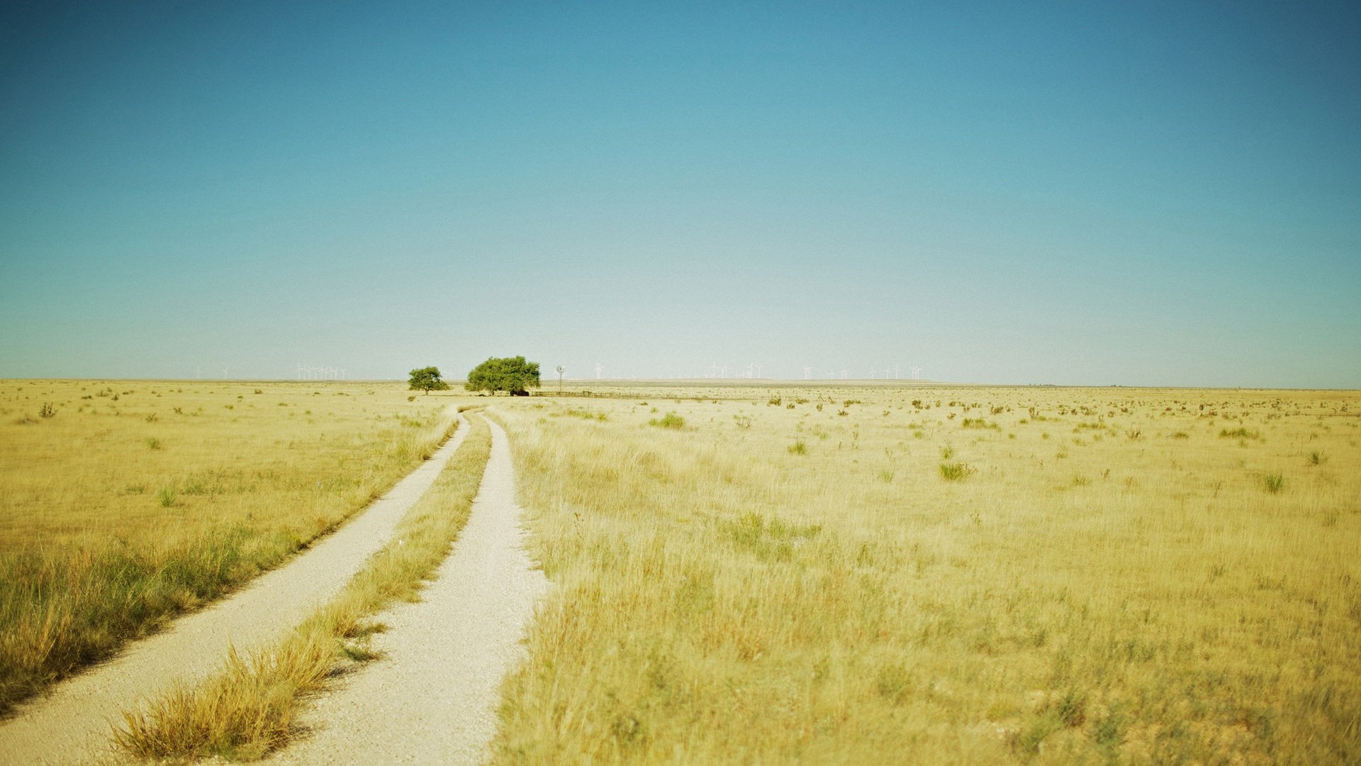 风景,小路,自然,郊外,儿童桌面专用
