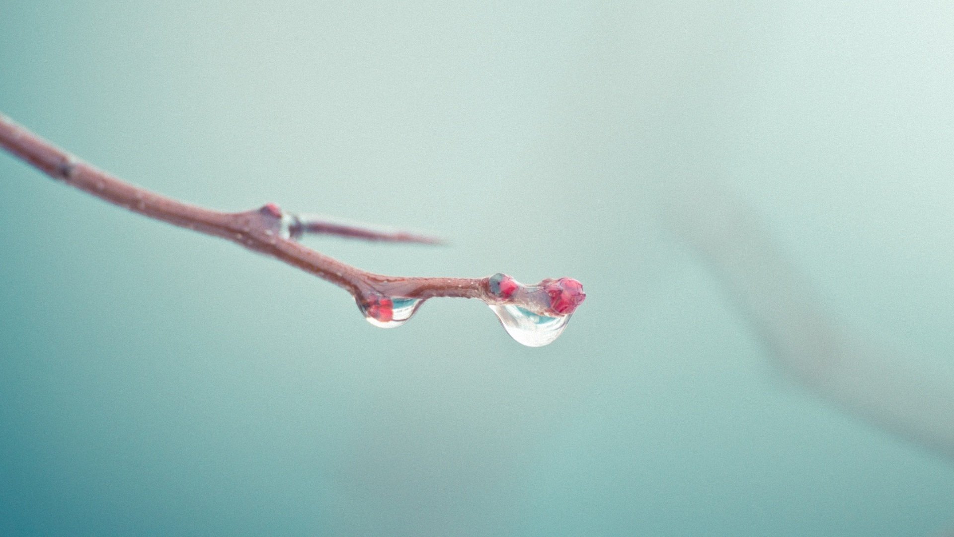 小清新,清新淡雅,儿童桌面专用