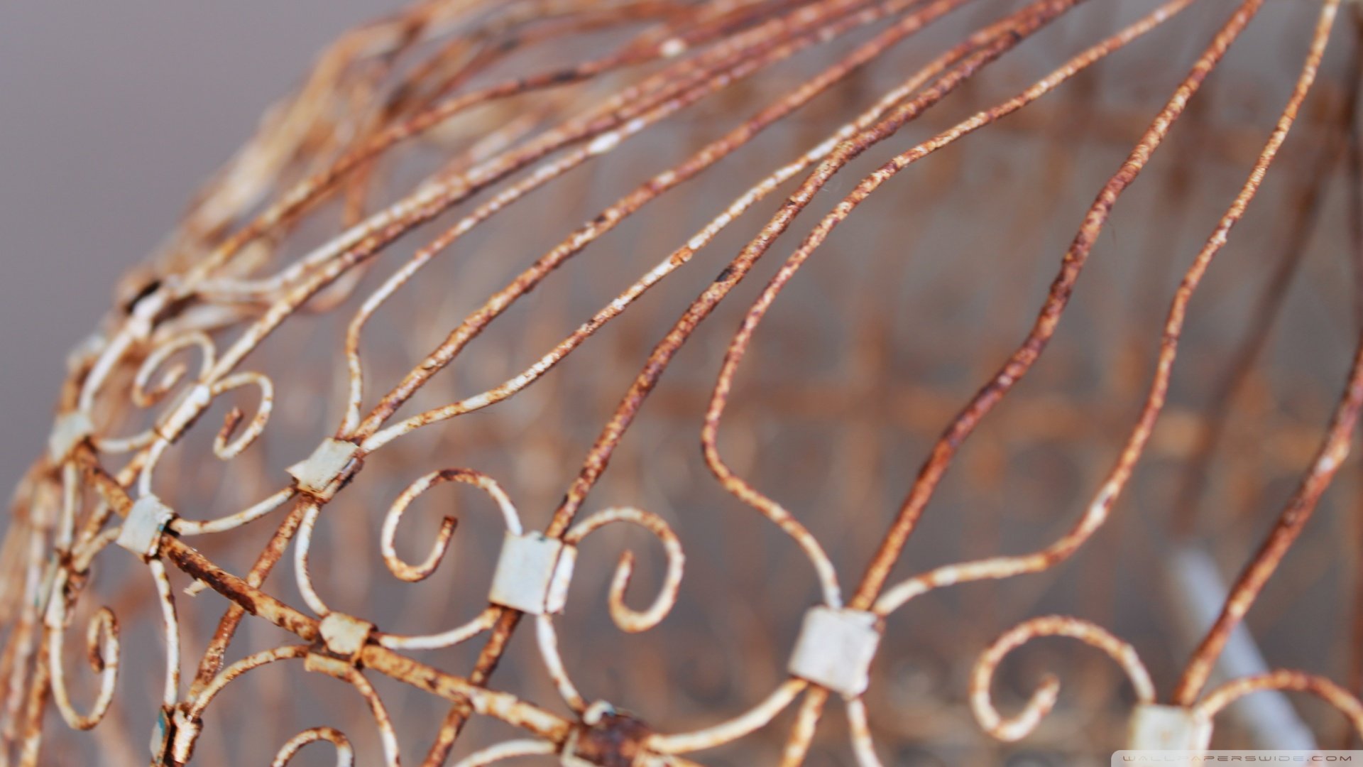 小清新,清新淡雅