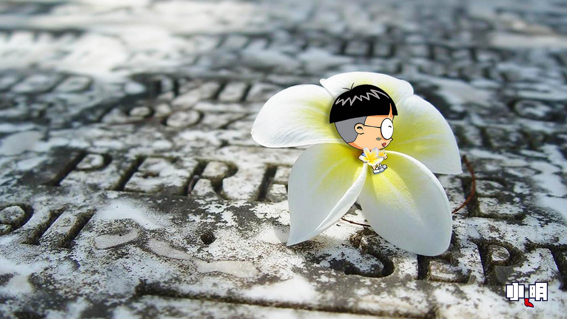 动漫,卡通,小明,独家首发,@小明,儿童桌面专用