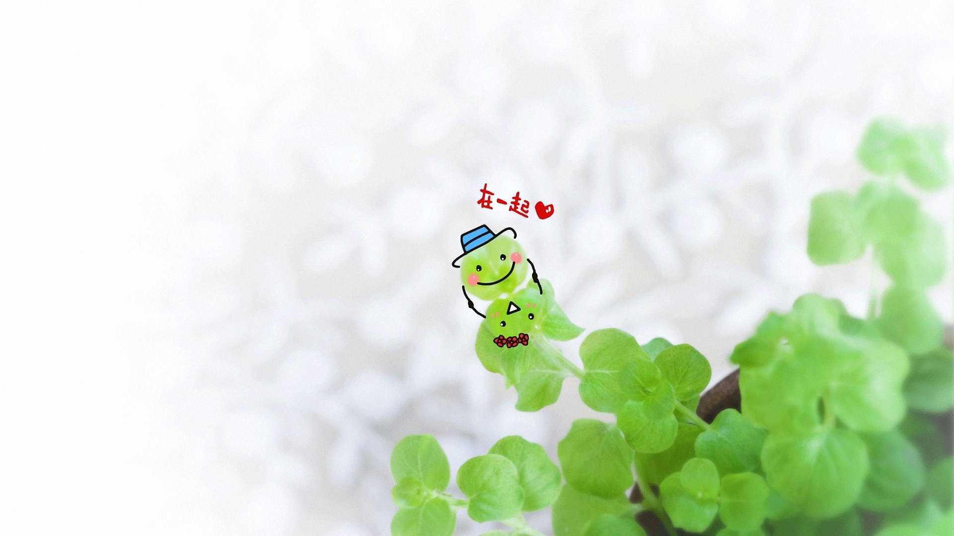 爱情,唯美温馨,情侣