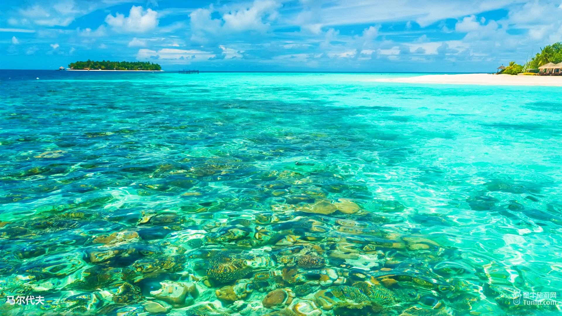 风景,旅游胜地,马尔代夫,旅行,摄影,途牛旅游,@途牛旅游网,儿童桌面专用