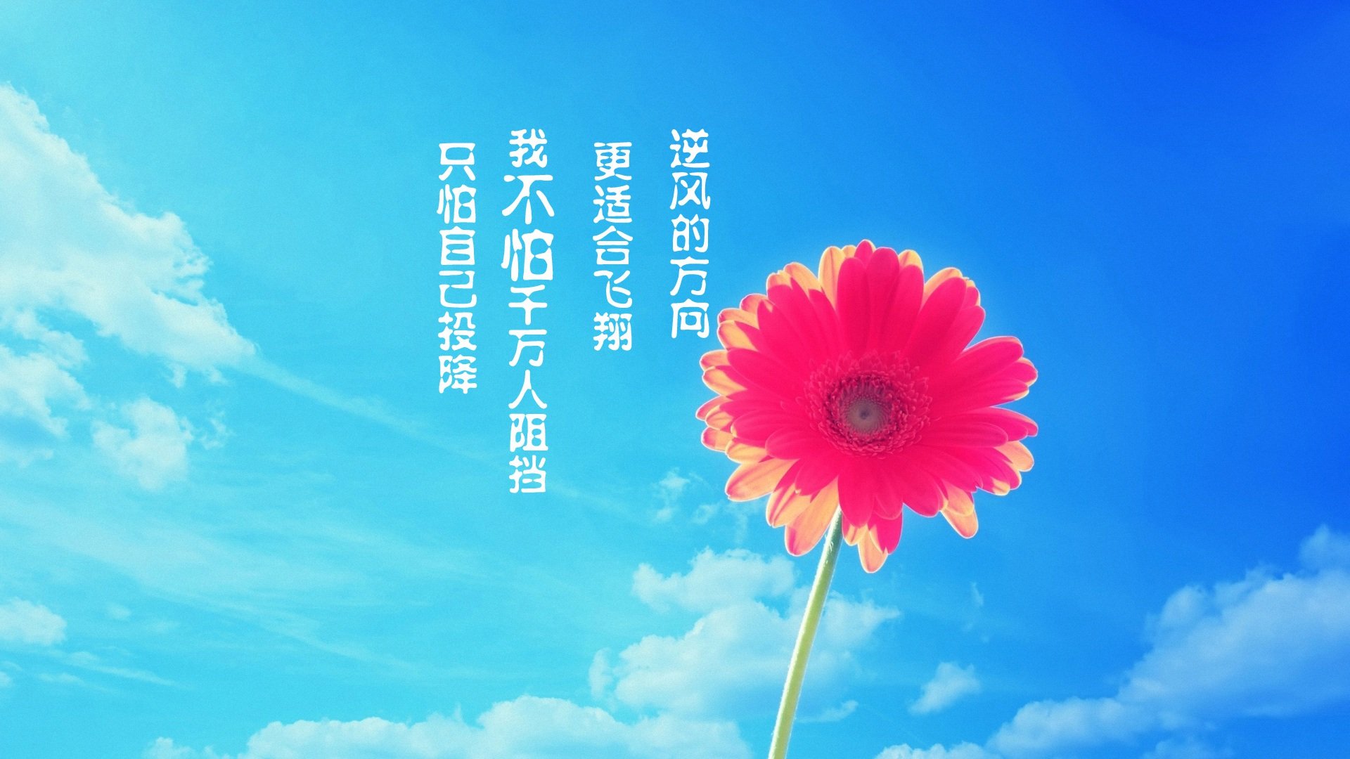 创意,励志,高考必胜,高考,儿童桌面专用