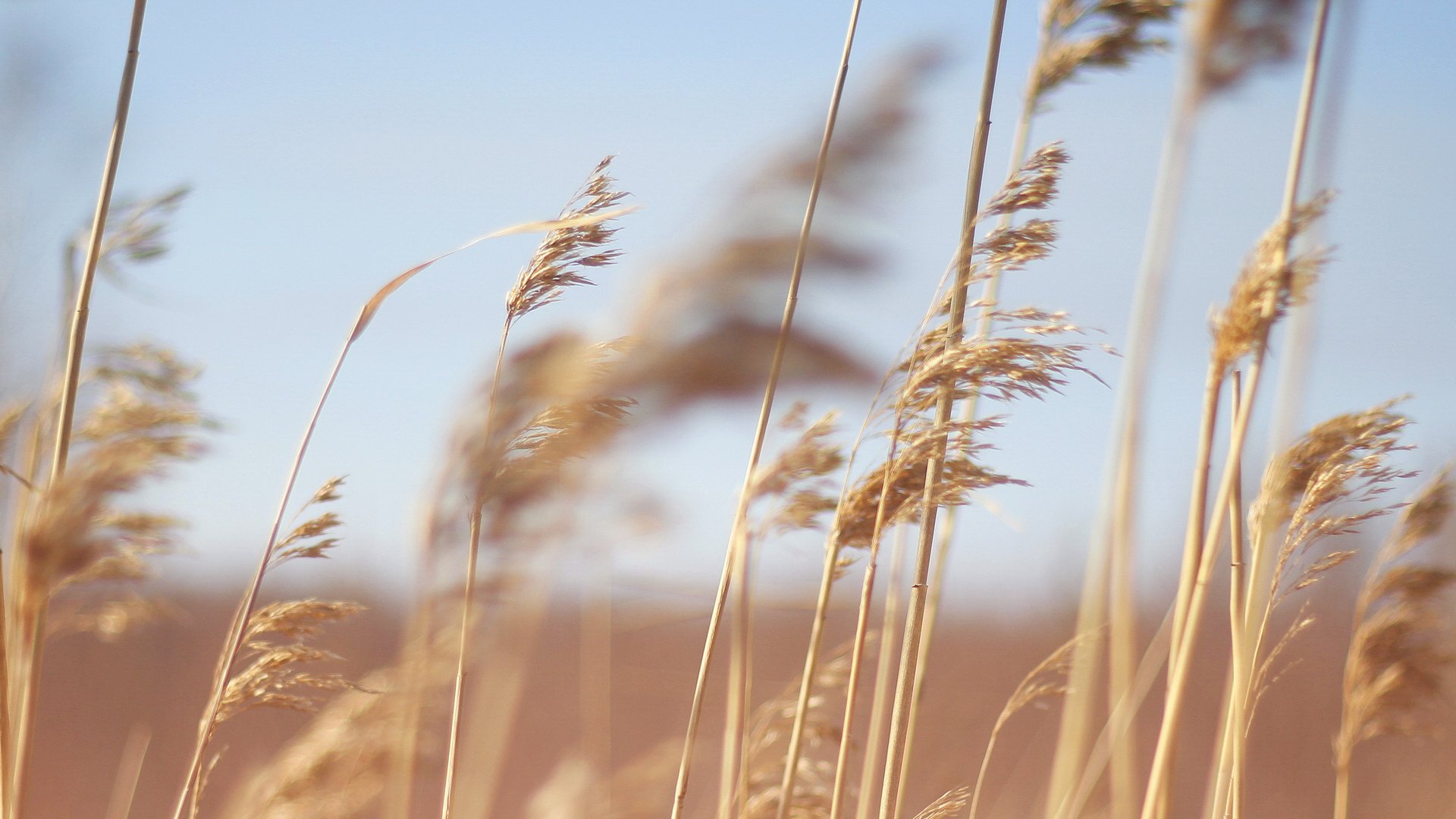 小清新,温馨一刻,儿童桌面专用