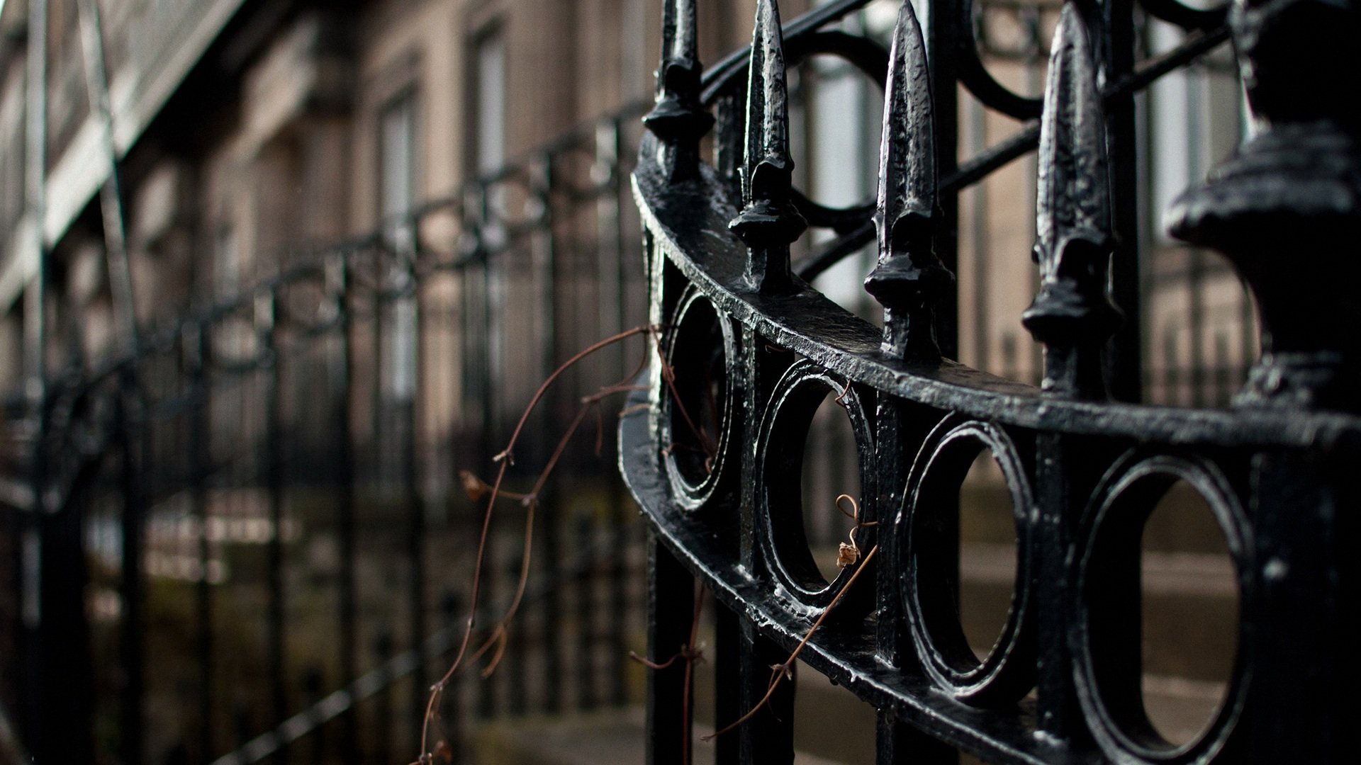 风景,庭院,铁门,儿童桌面专用