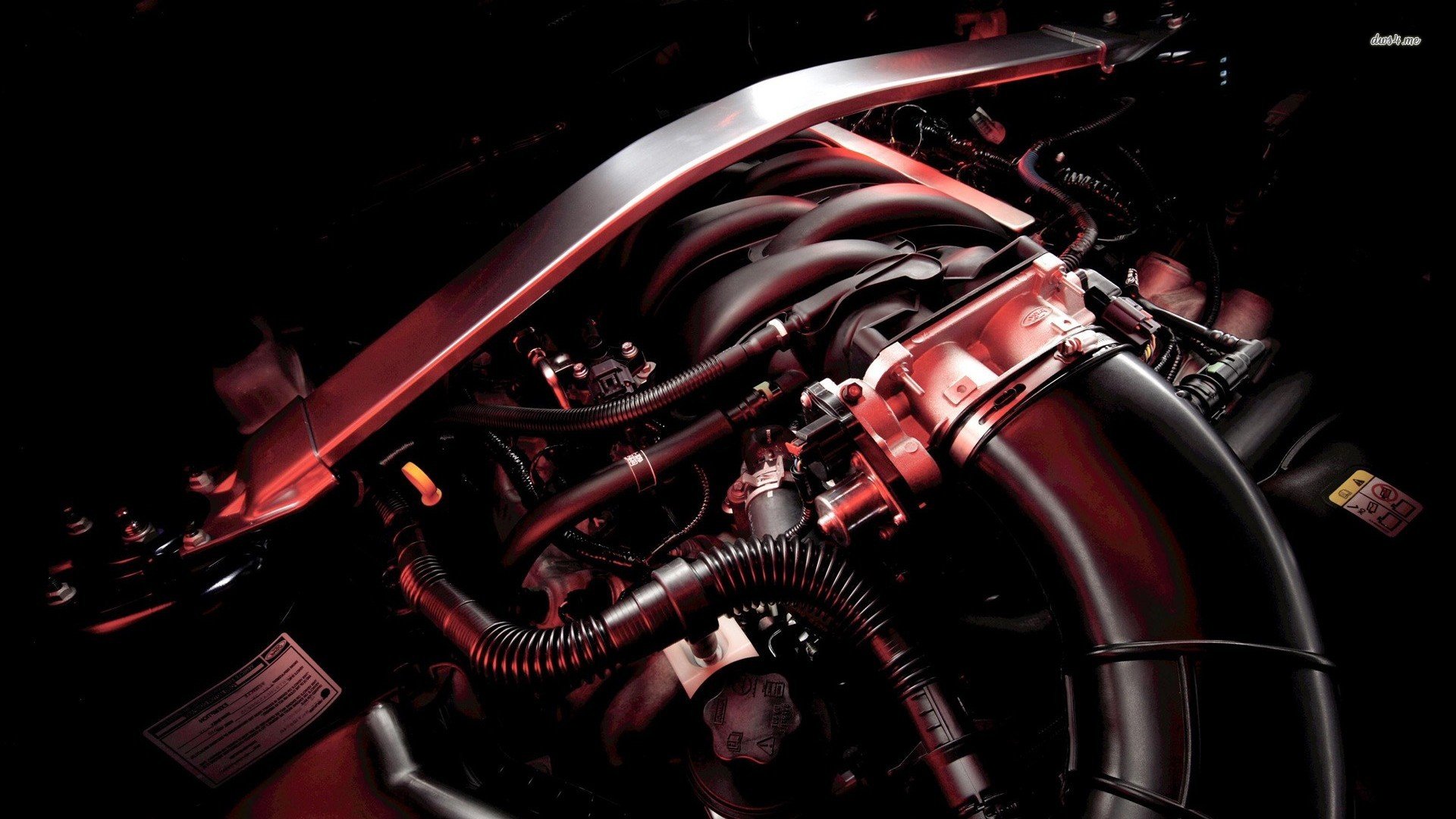 汽车,超跑,福特,儿童桌面专用