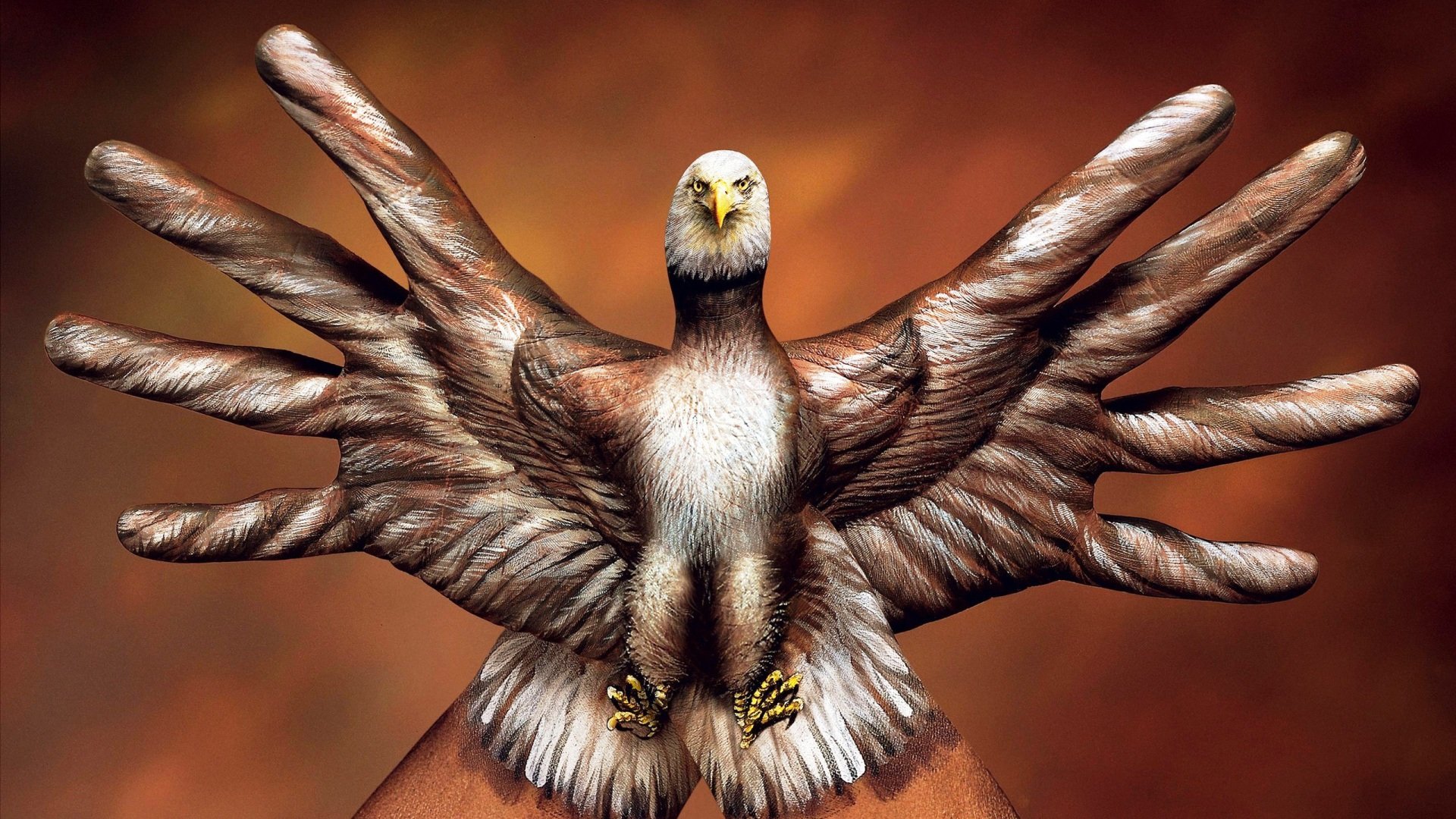 创意,设计,炫彩,炫酷