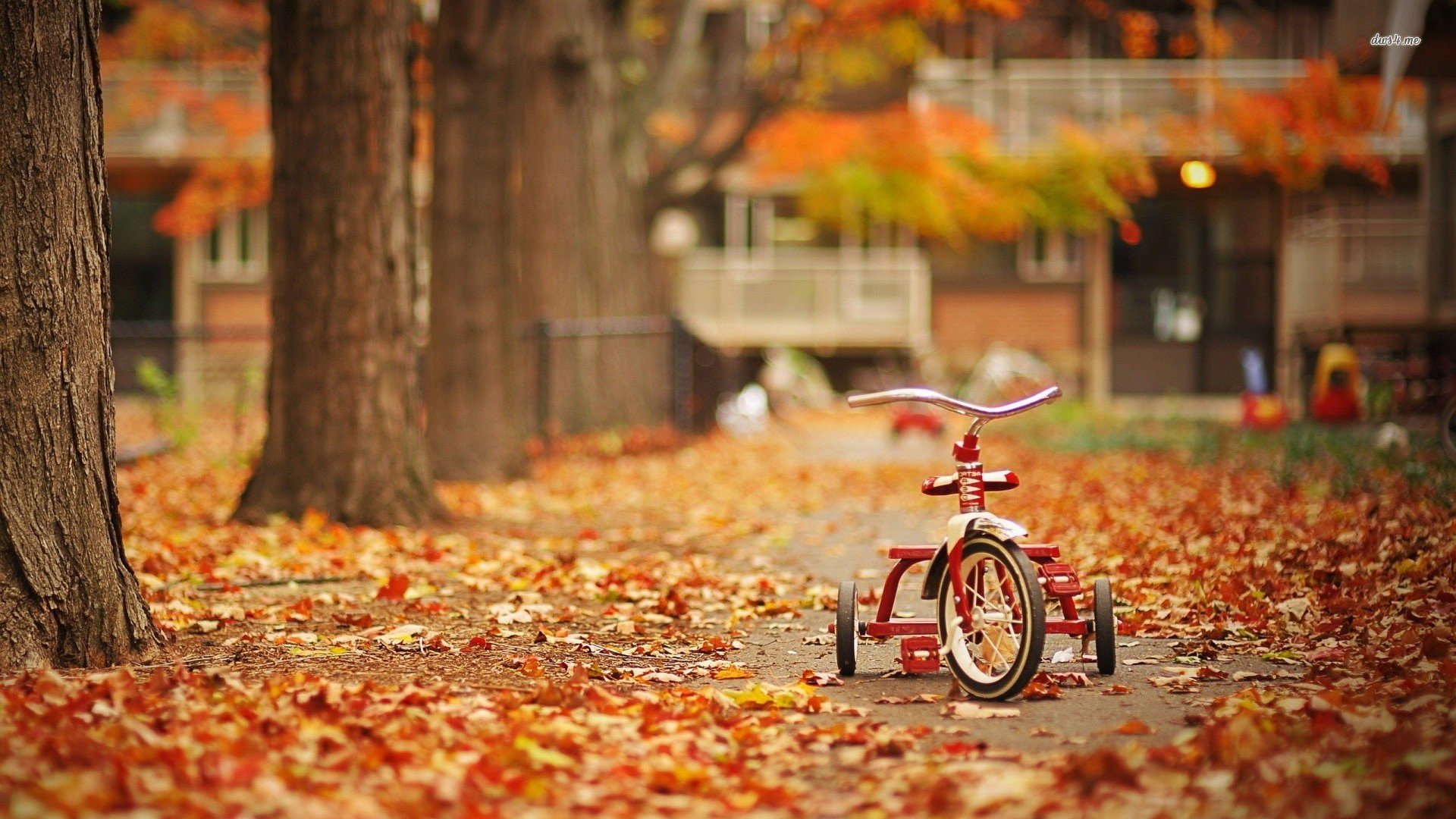 小清新,静物写真,儿童桌面专用