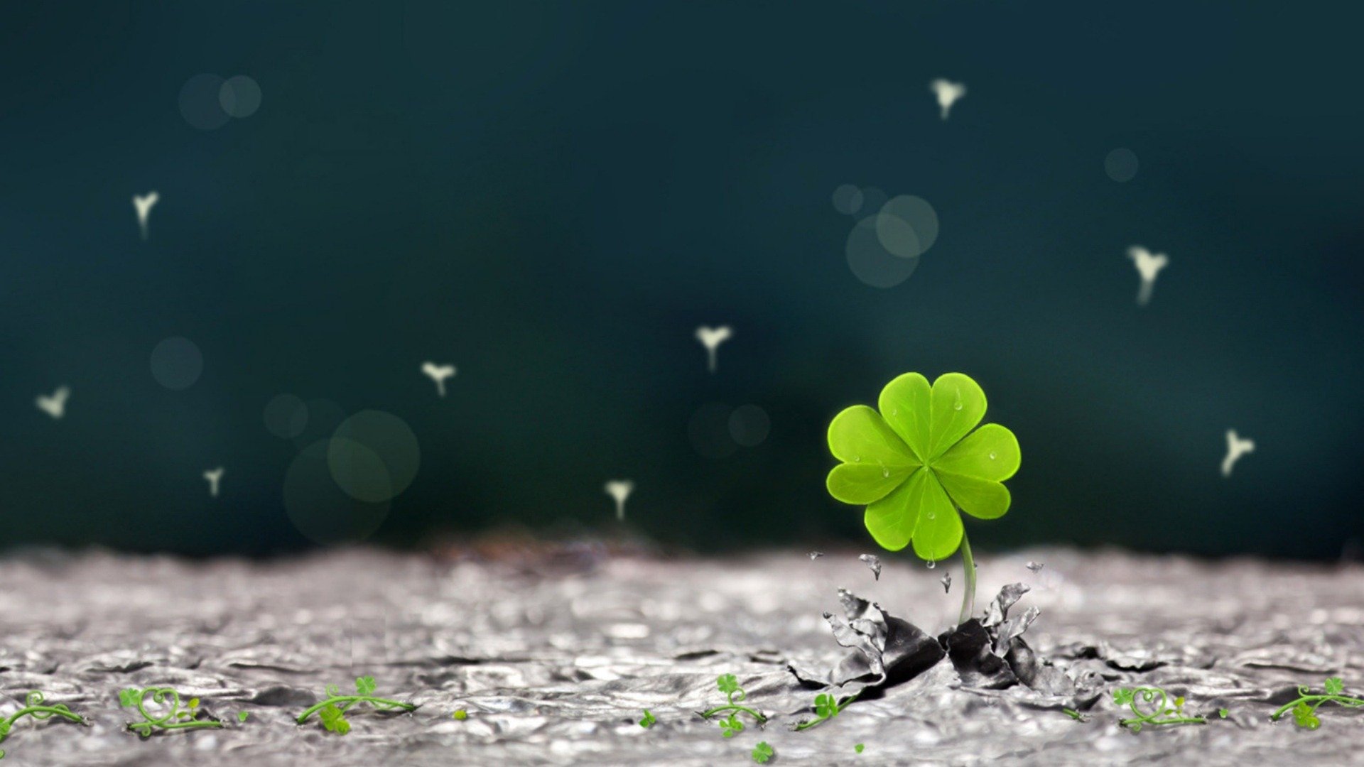 小清新,温馨一刻,儿童桌面专用