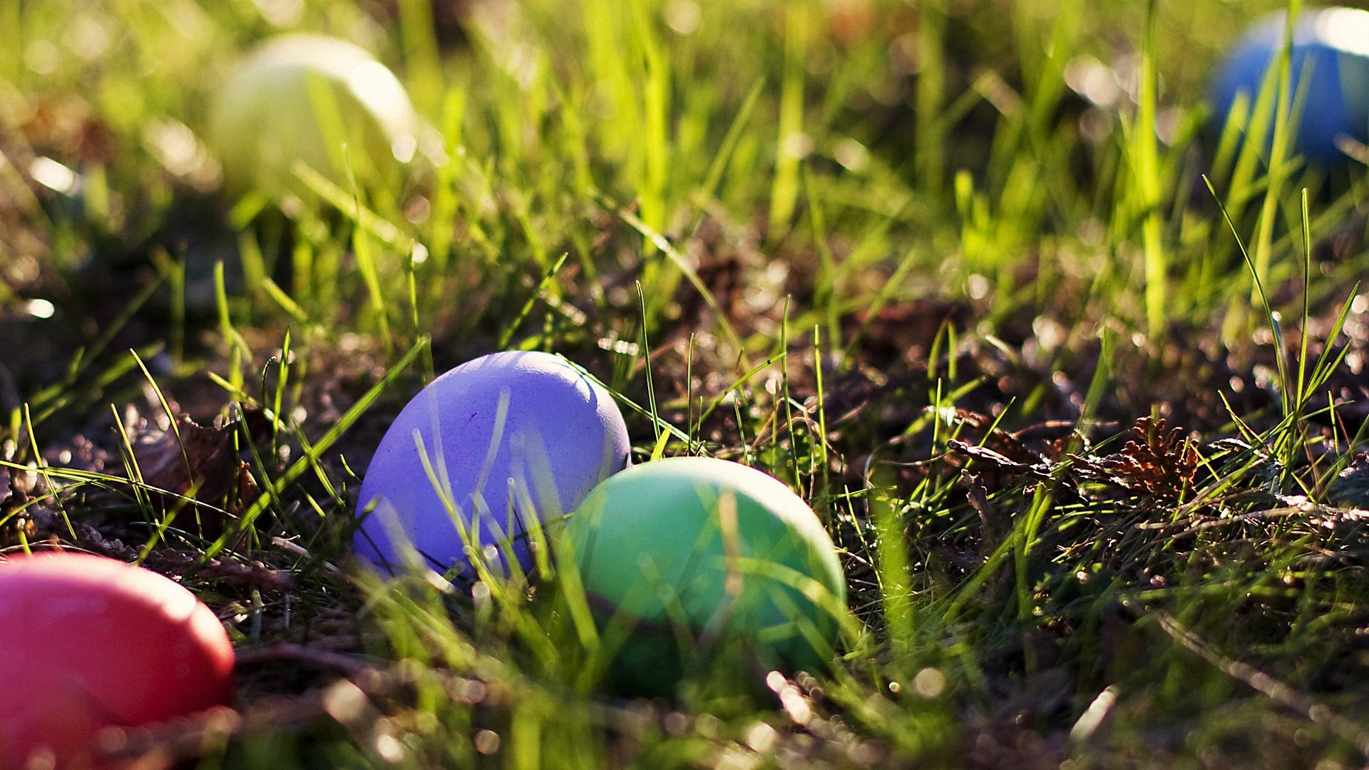 小清新,彩蛋,清新淡雅,儿童桌面专用