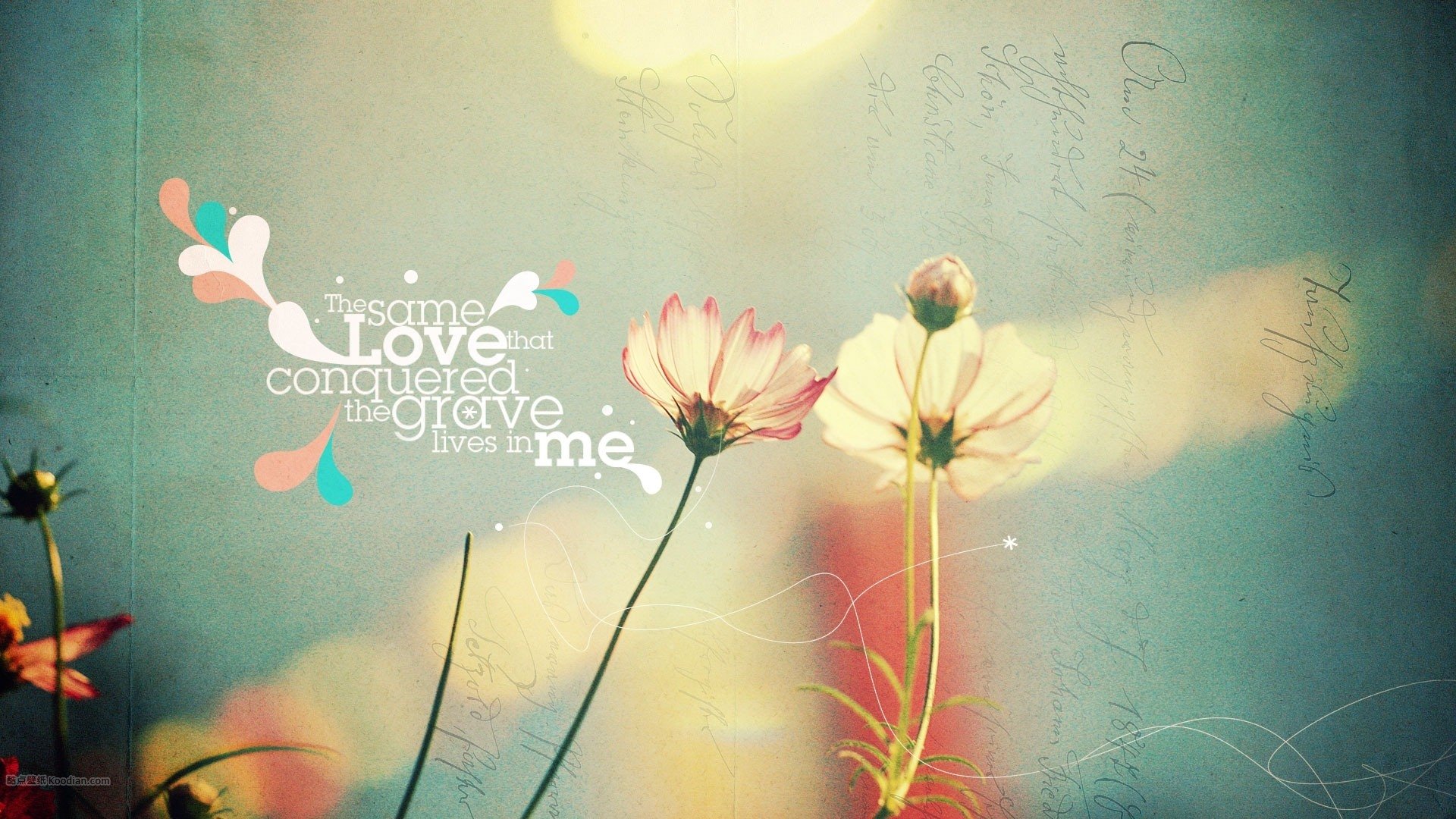 小清新,温馨一刻,花,love,儿童桌面专用