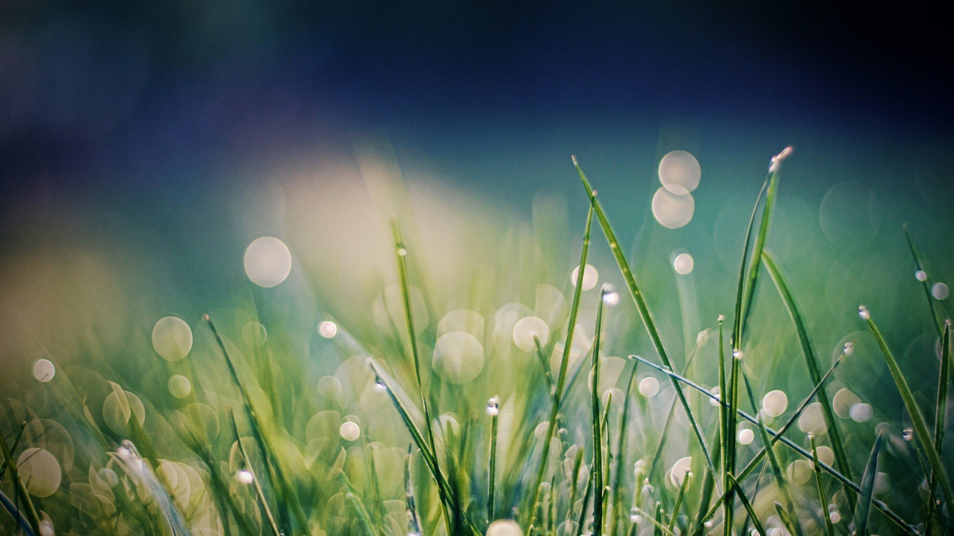 小清新,清新淡雅,儿童桌面专用