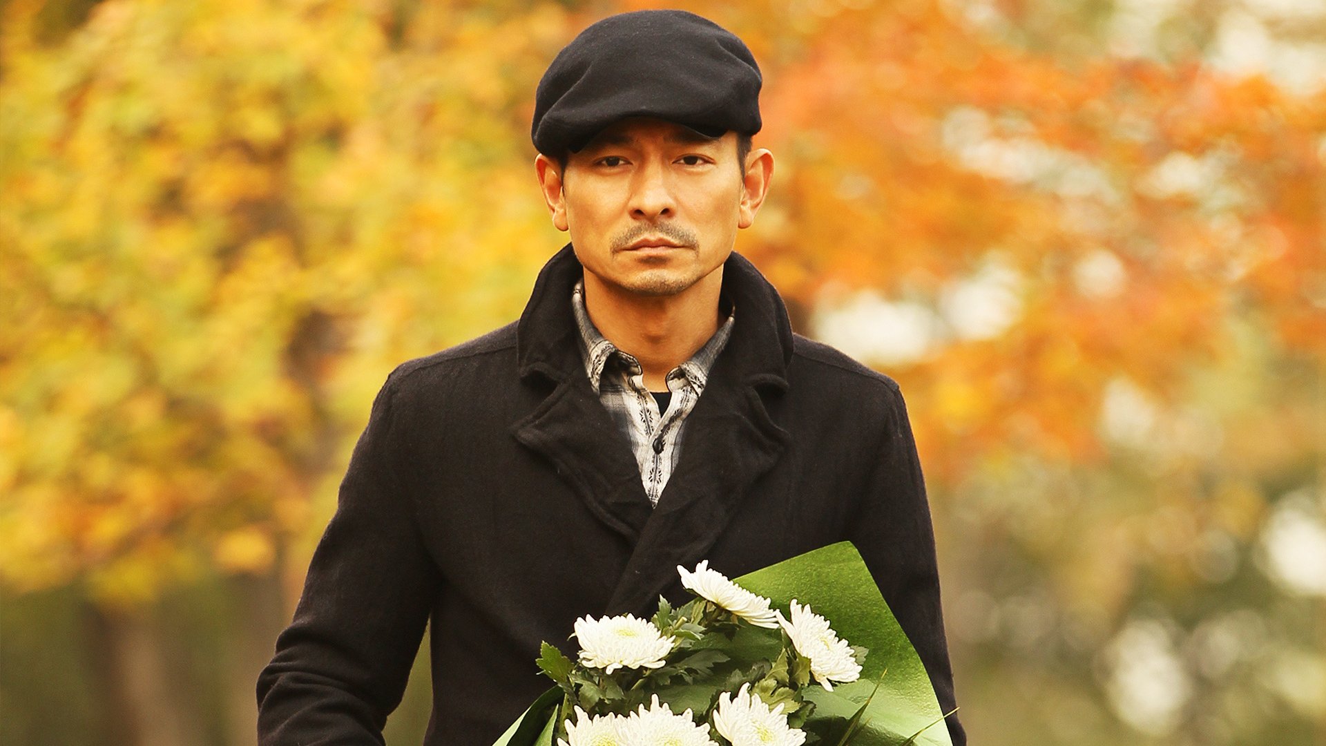 影视,富春山居图,刘德华