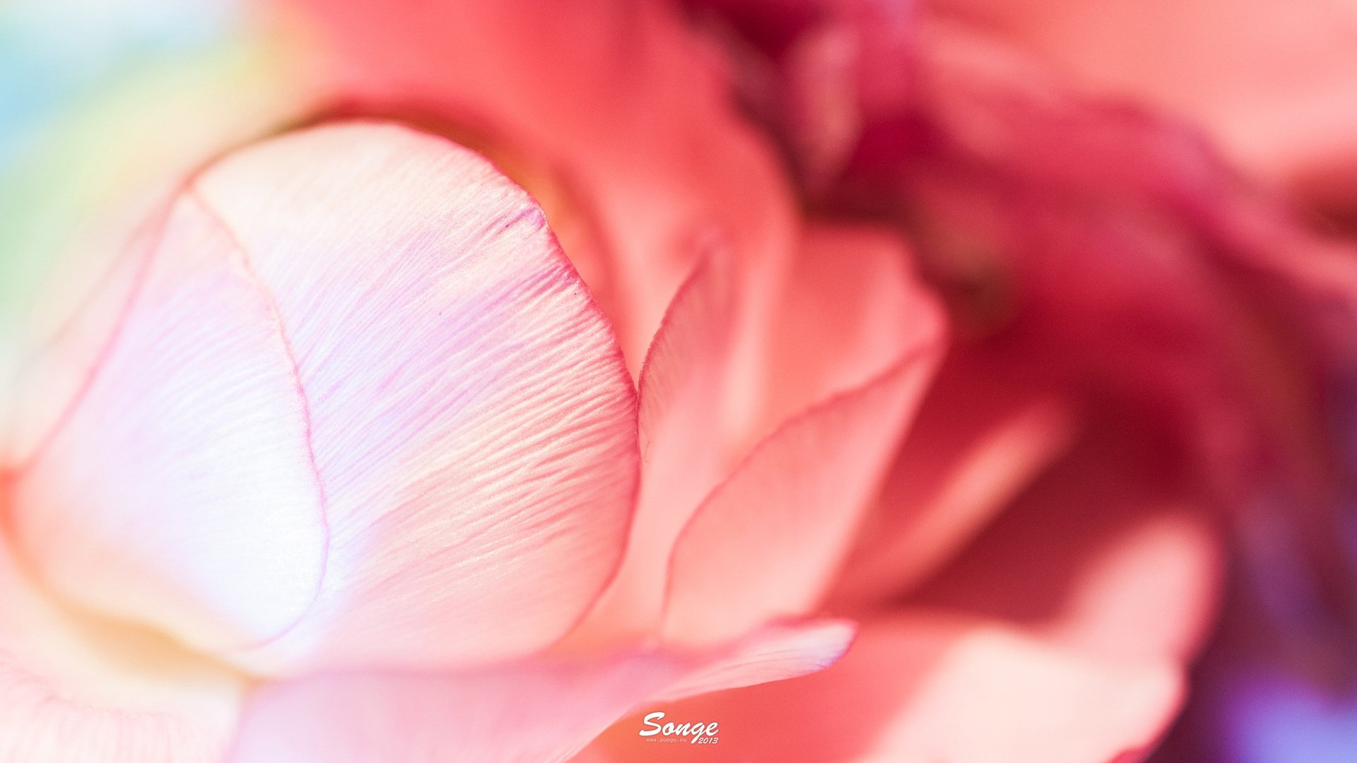 小清新,清新淡雅,儿童桌面专用