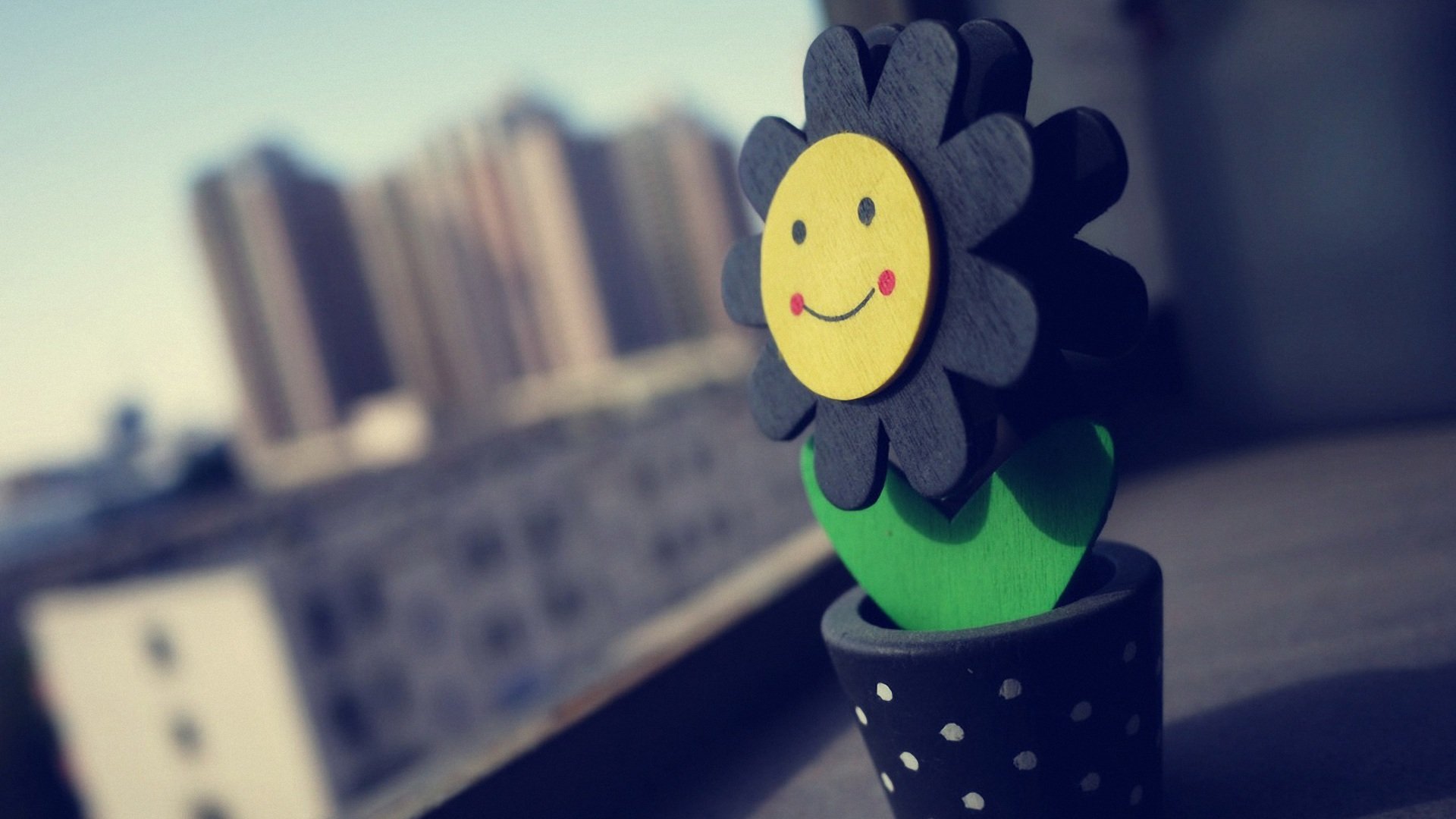 小清新,静物写真,儿童桌面专用