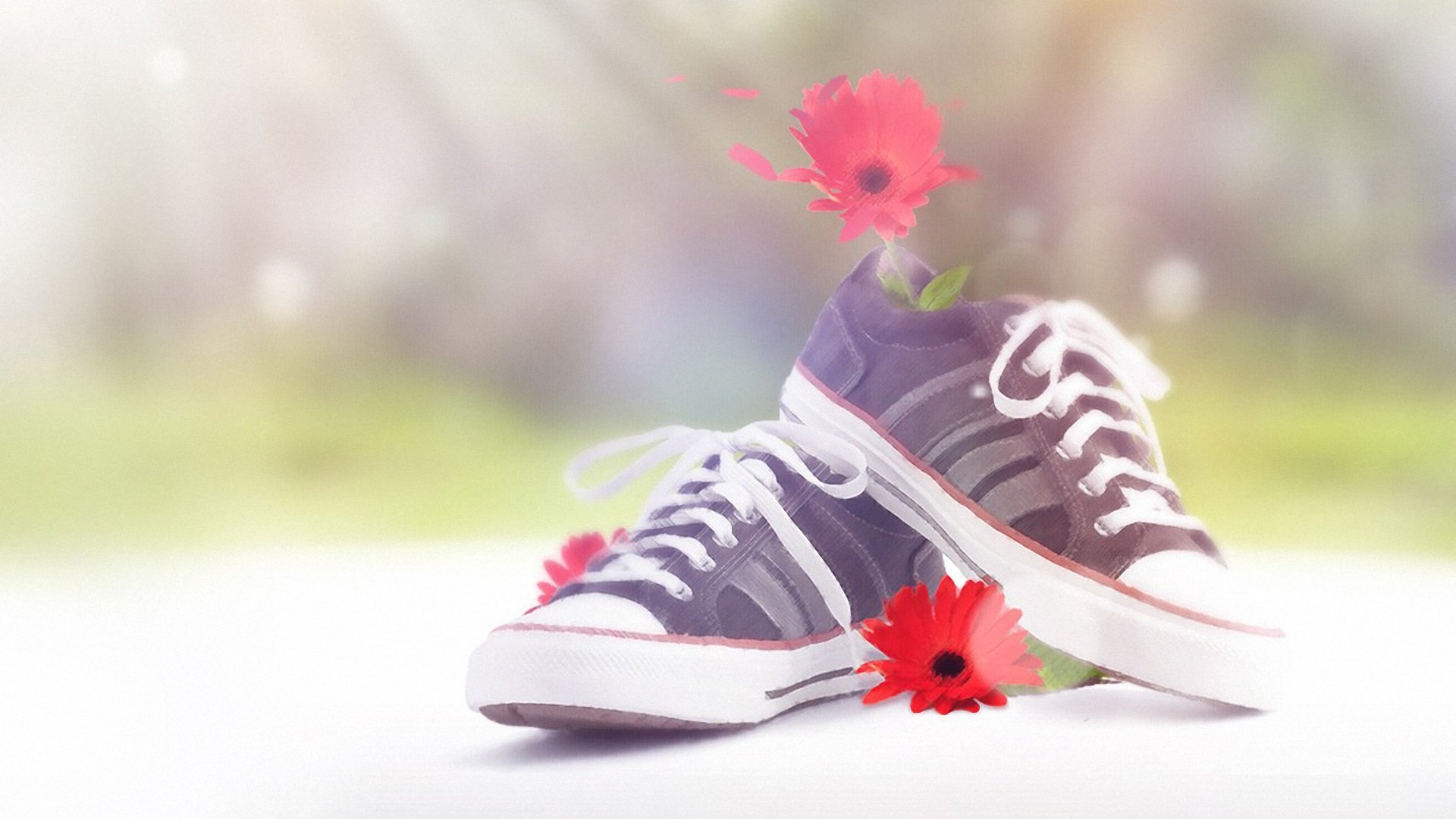 小清新,静物写真,儿童桌面专用