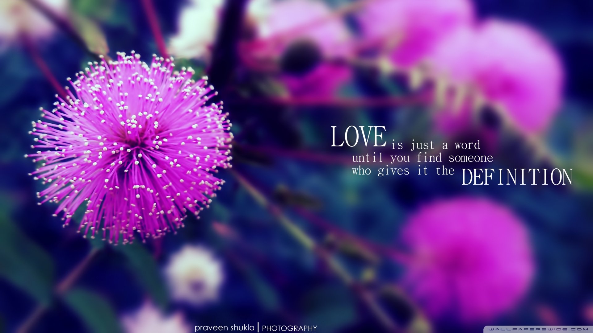 小清新,清新淡雅,儿童桌面专用