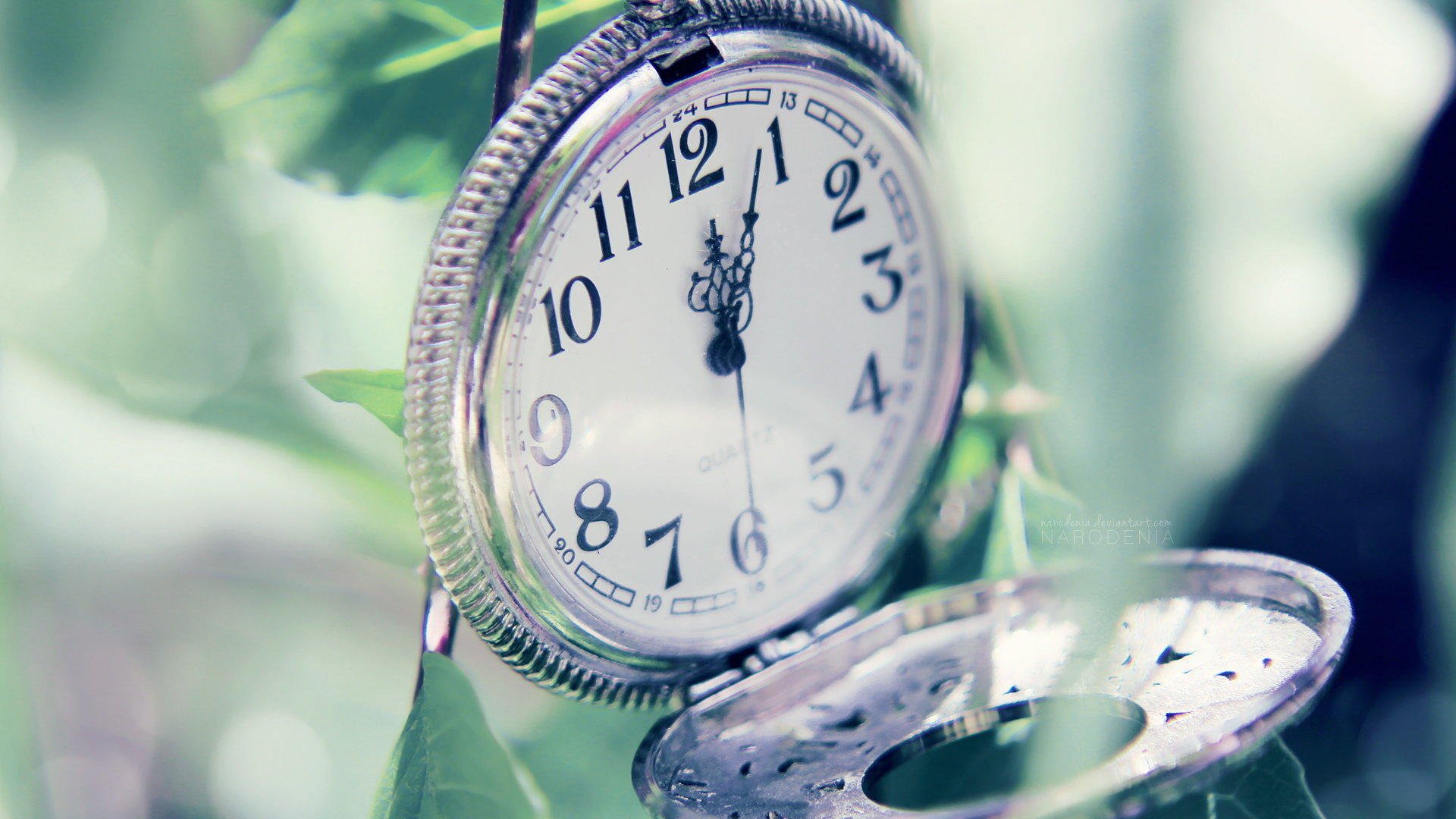 小清新,静物写真,儿童桌面专用