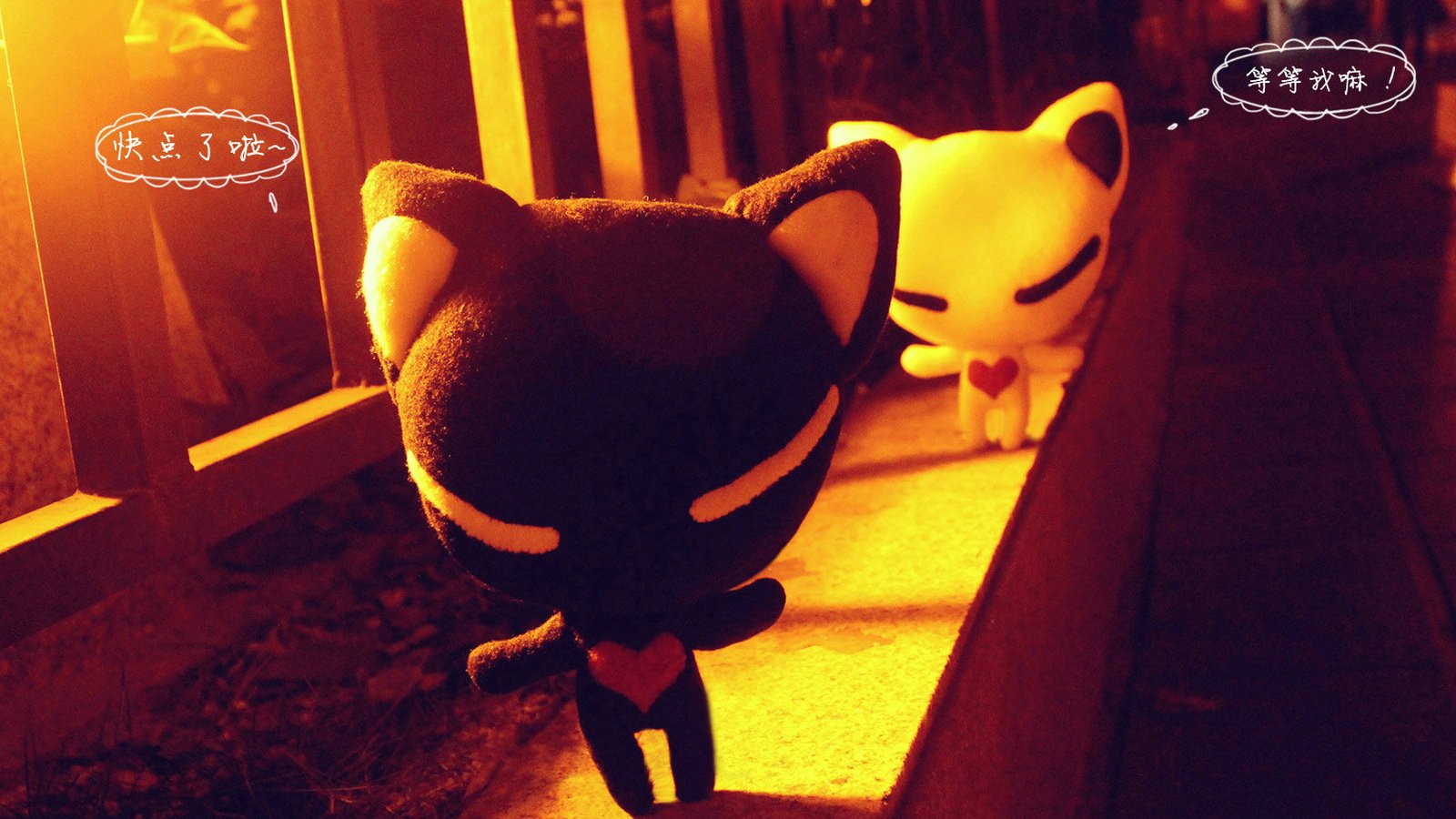 爱情美图,唯美温馨,爱心狐狸