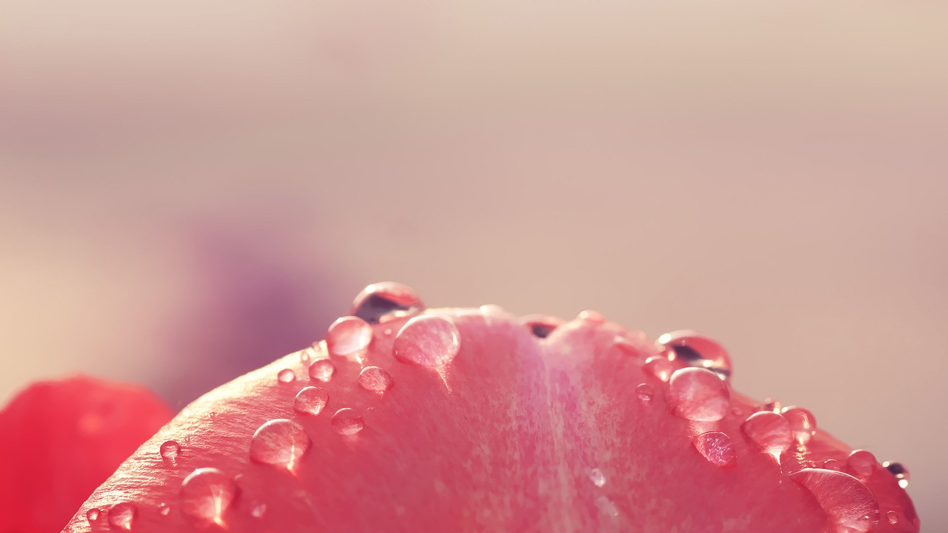 小清新,护眼壁纸,儿童桌面专用