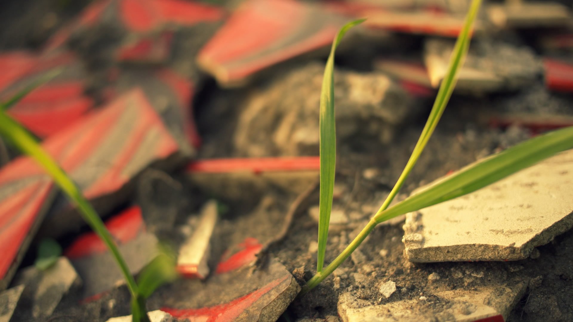 小清新,静物写真,儿童桌面专用