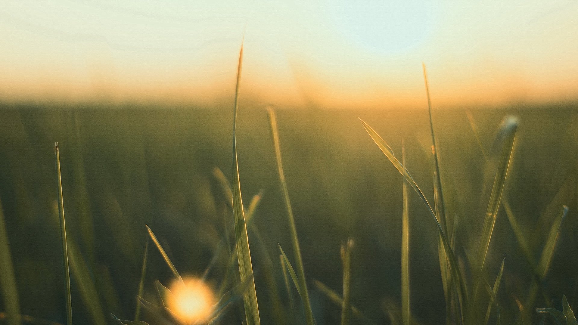 小清新,温馨一刻,儿童桌面专用