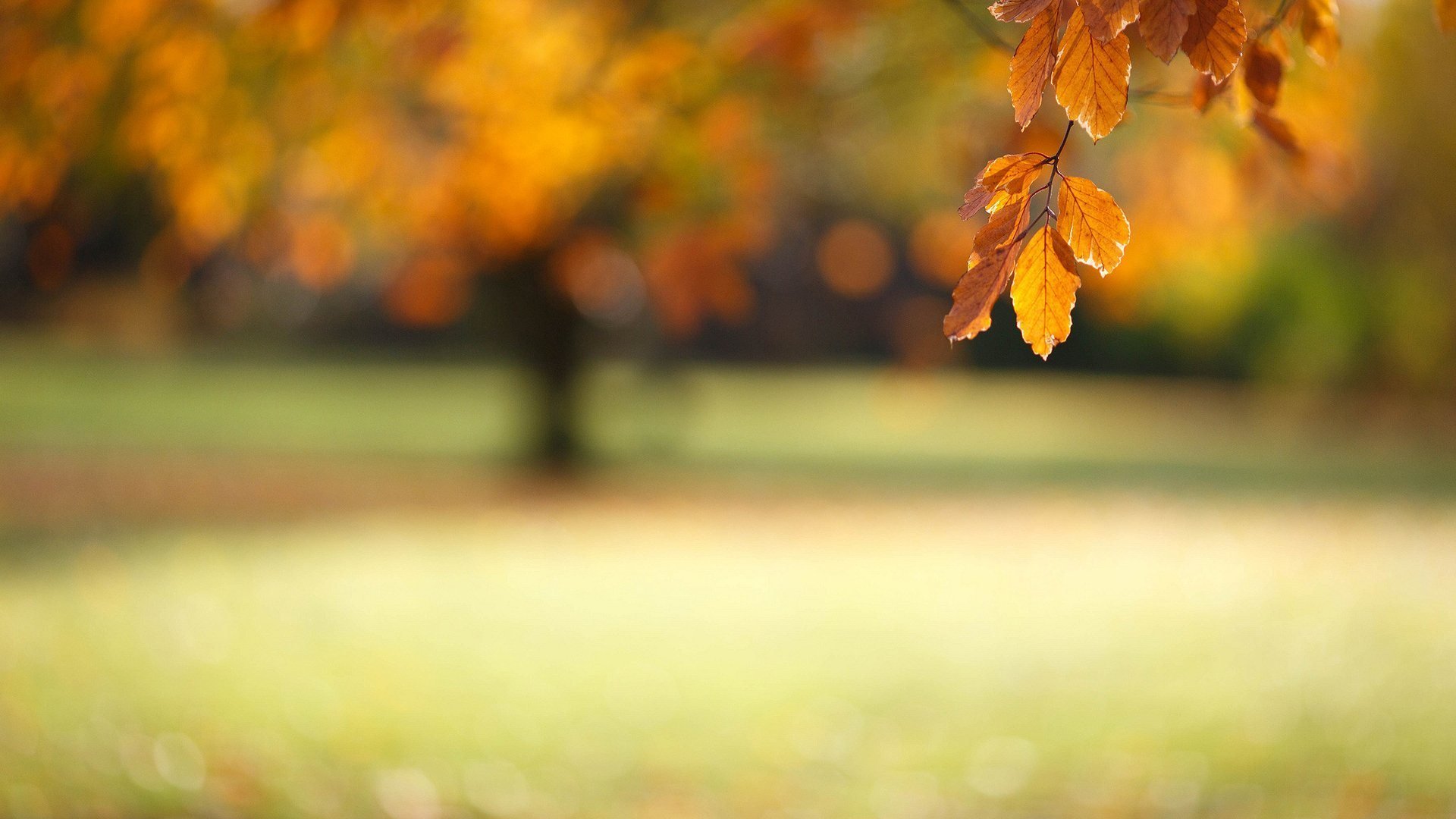 风景,奇幻梦境,儿童桌面专用