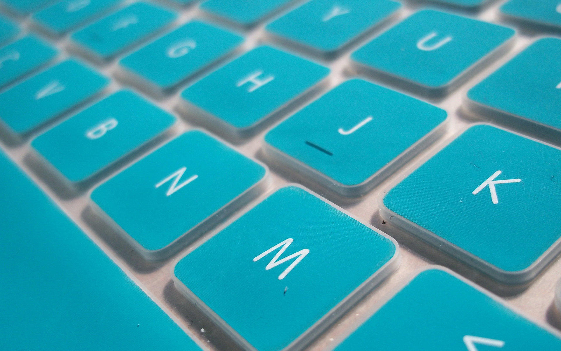 萌宠,卖萌图,十一月十九日精选,儿童桌面专用