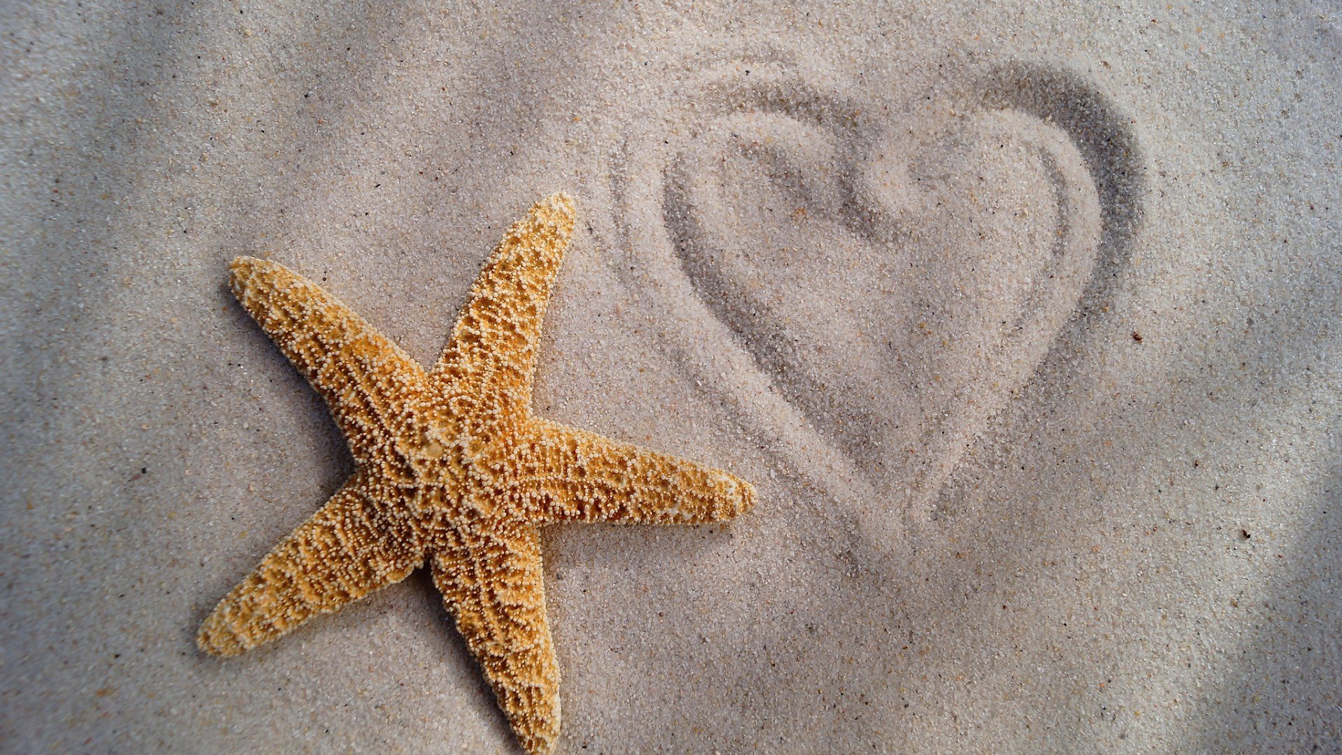 小清新,清新淡雅,儿童桌面专用