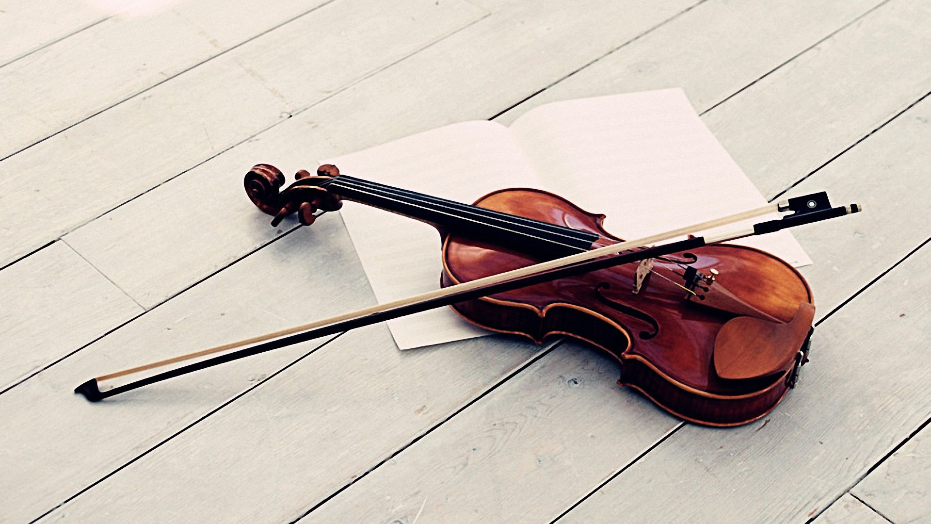 小清新,静物写真,儿童桌面专用