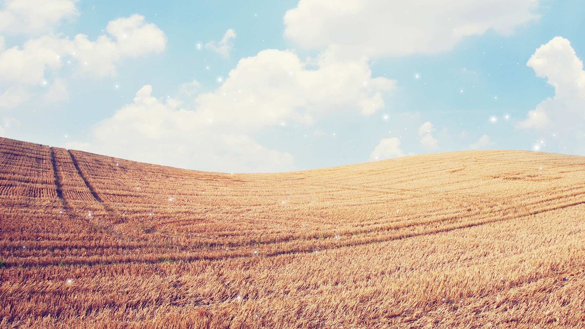 小清新,清新淡雅,儿童桌面专用