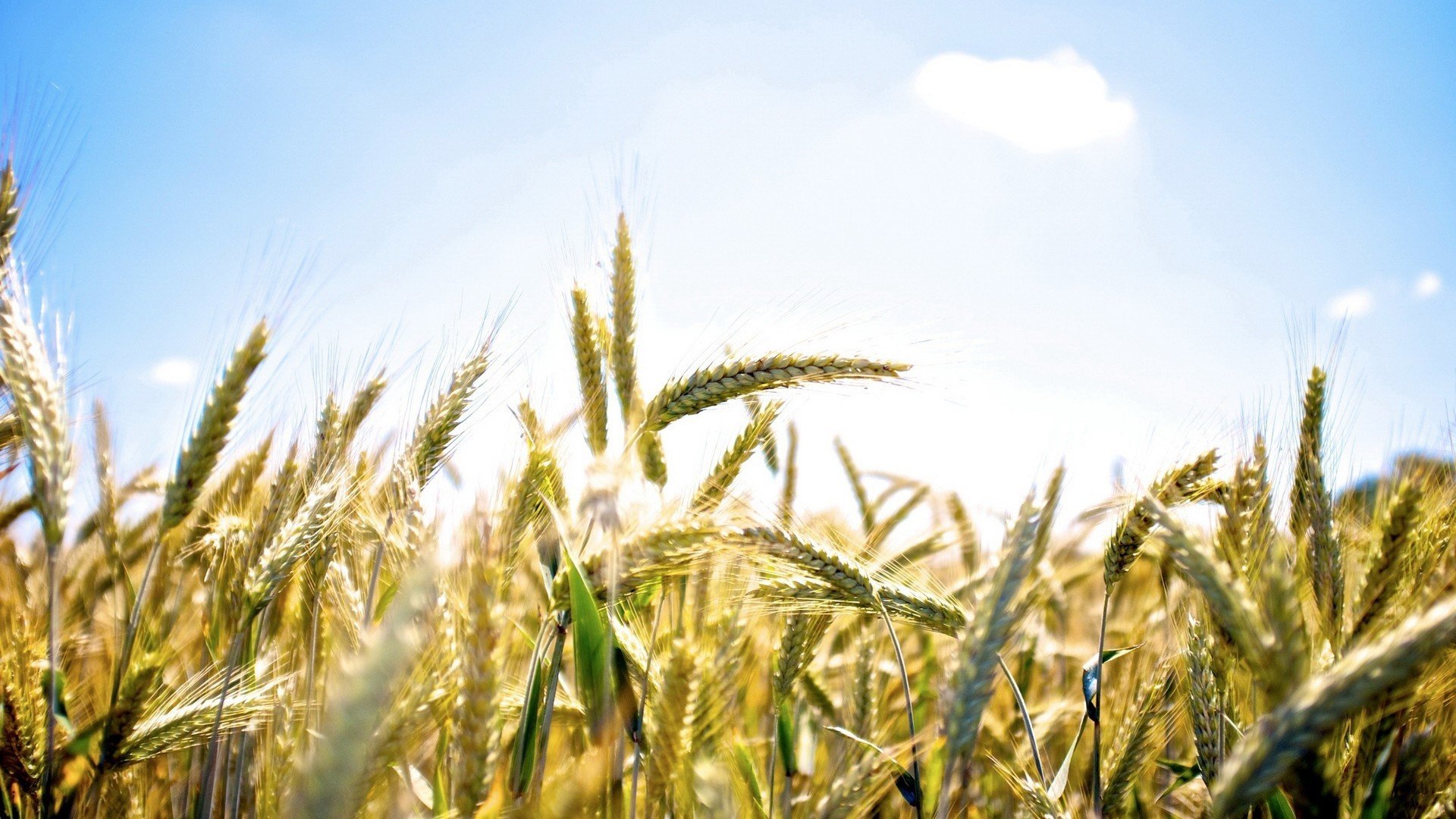 小清新,舒缓压力,蓝天白云,儿童桌面专用