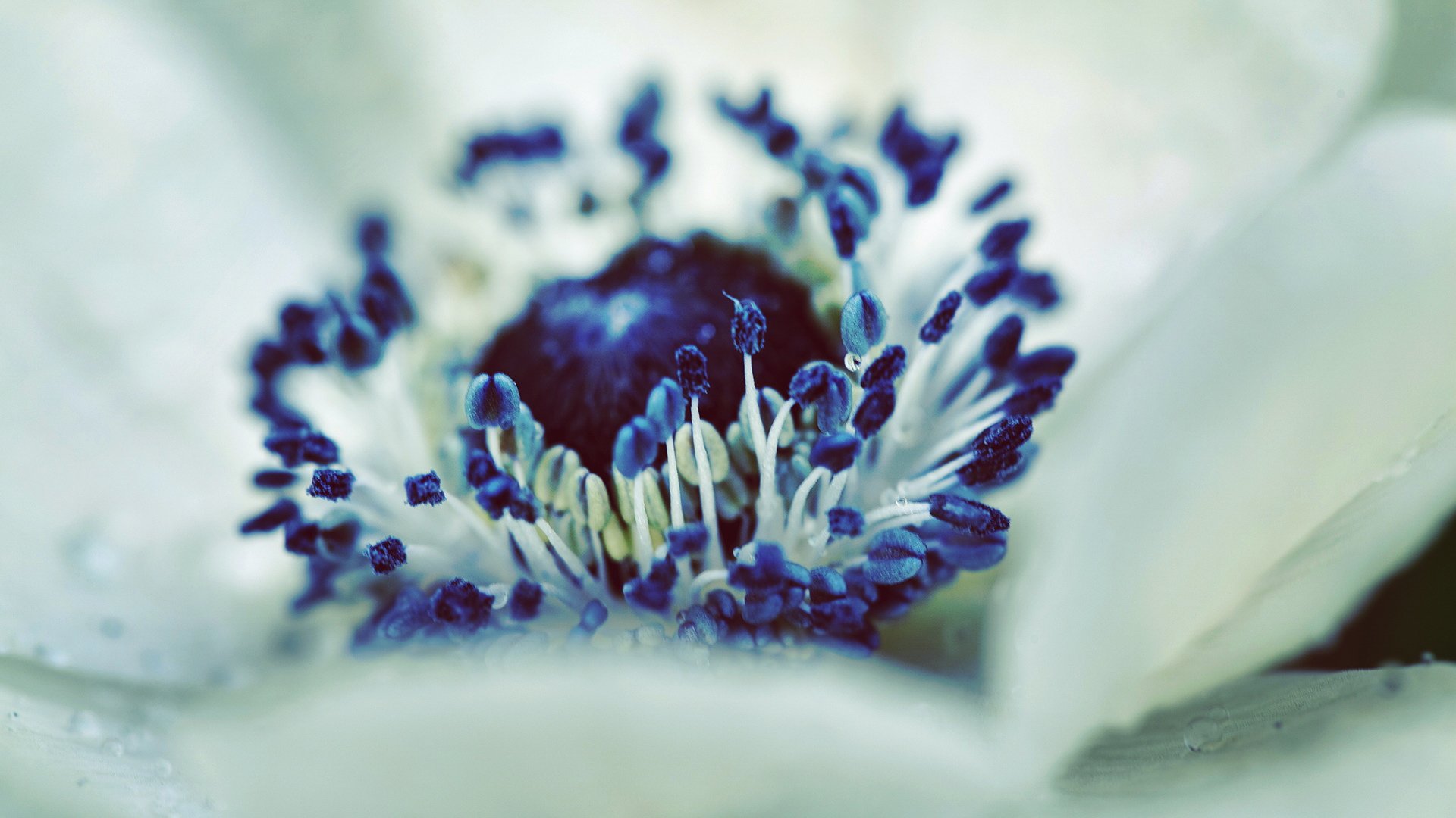 小清新,清新淡雅,儿童桌面专用