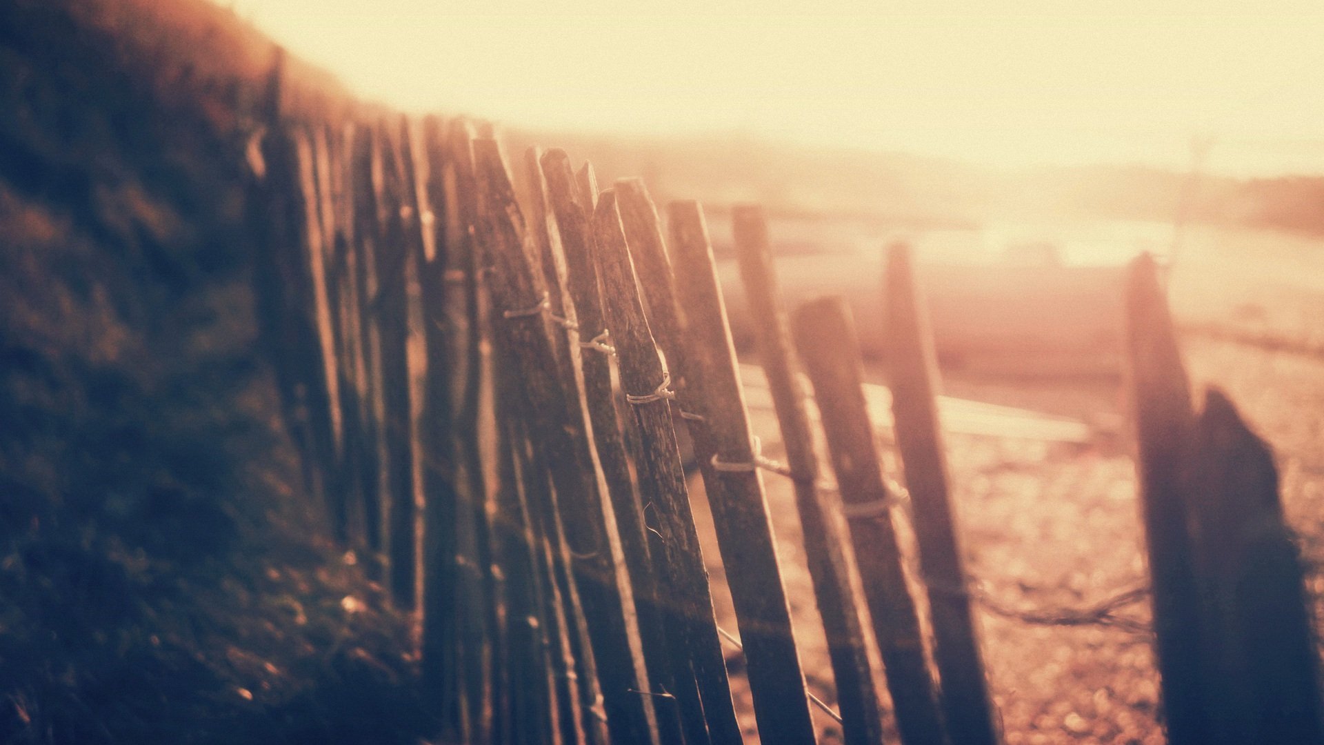 小清新,温馨一刻