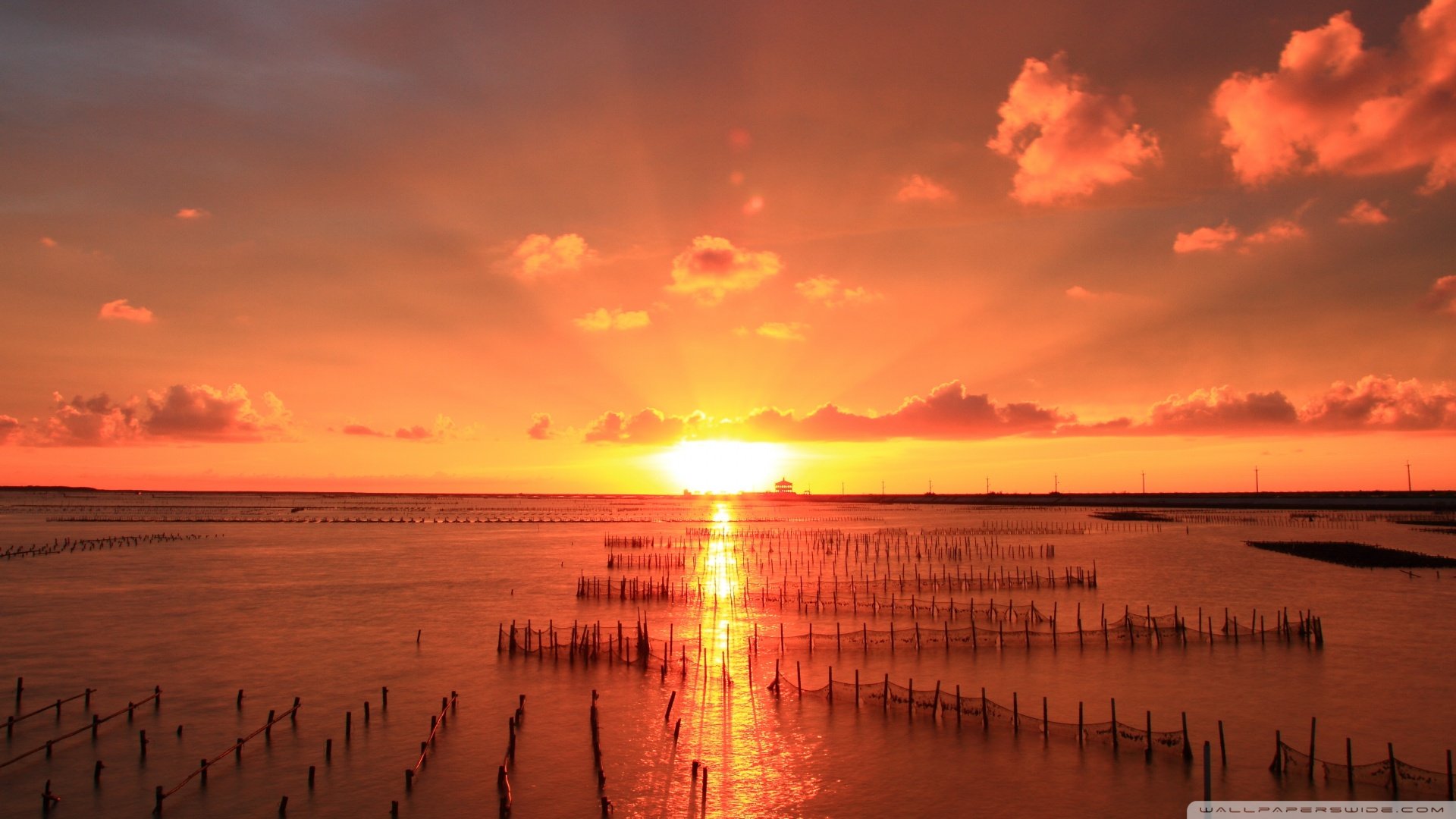 风景,落日余晖,儿童桌面专用