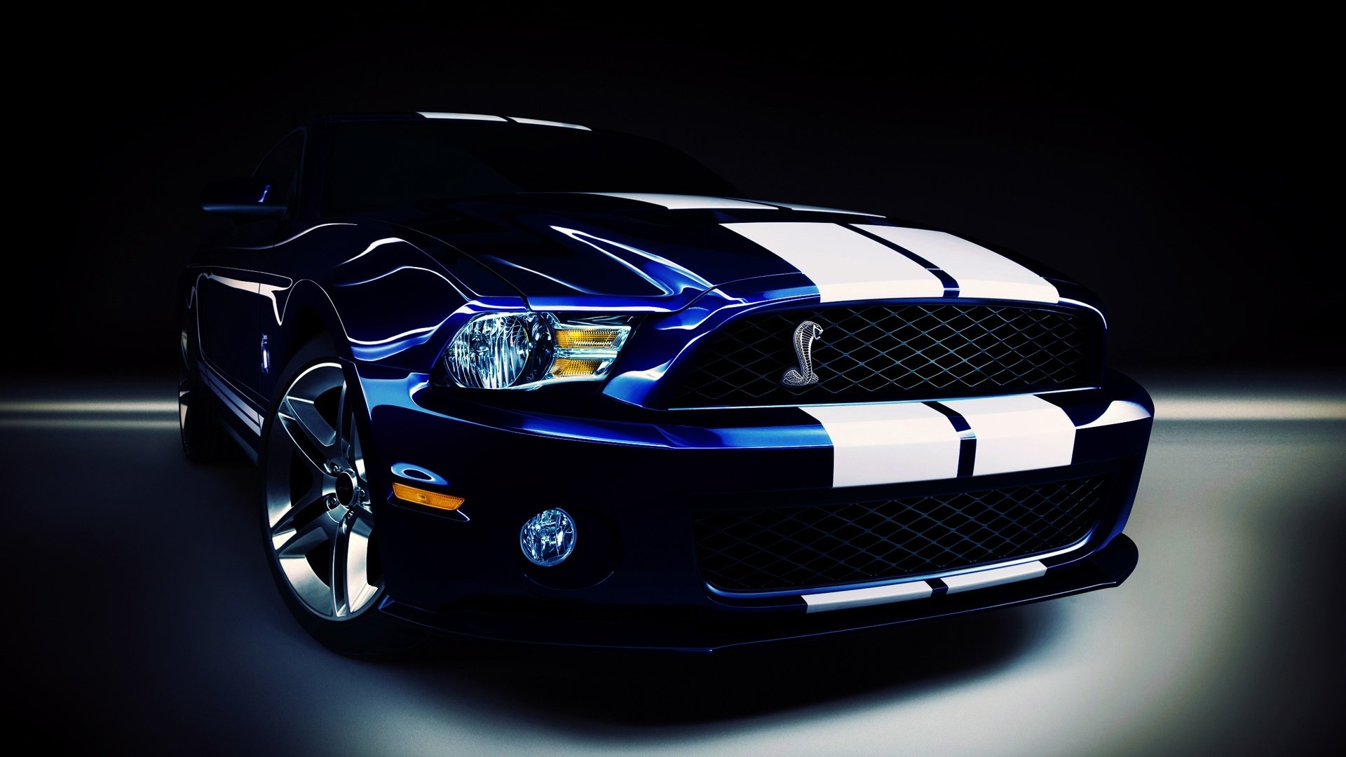 汽车,超跑,福特,眼镜蛇,儿童桌面专用