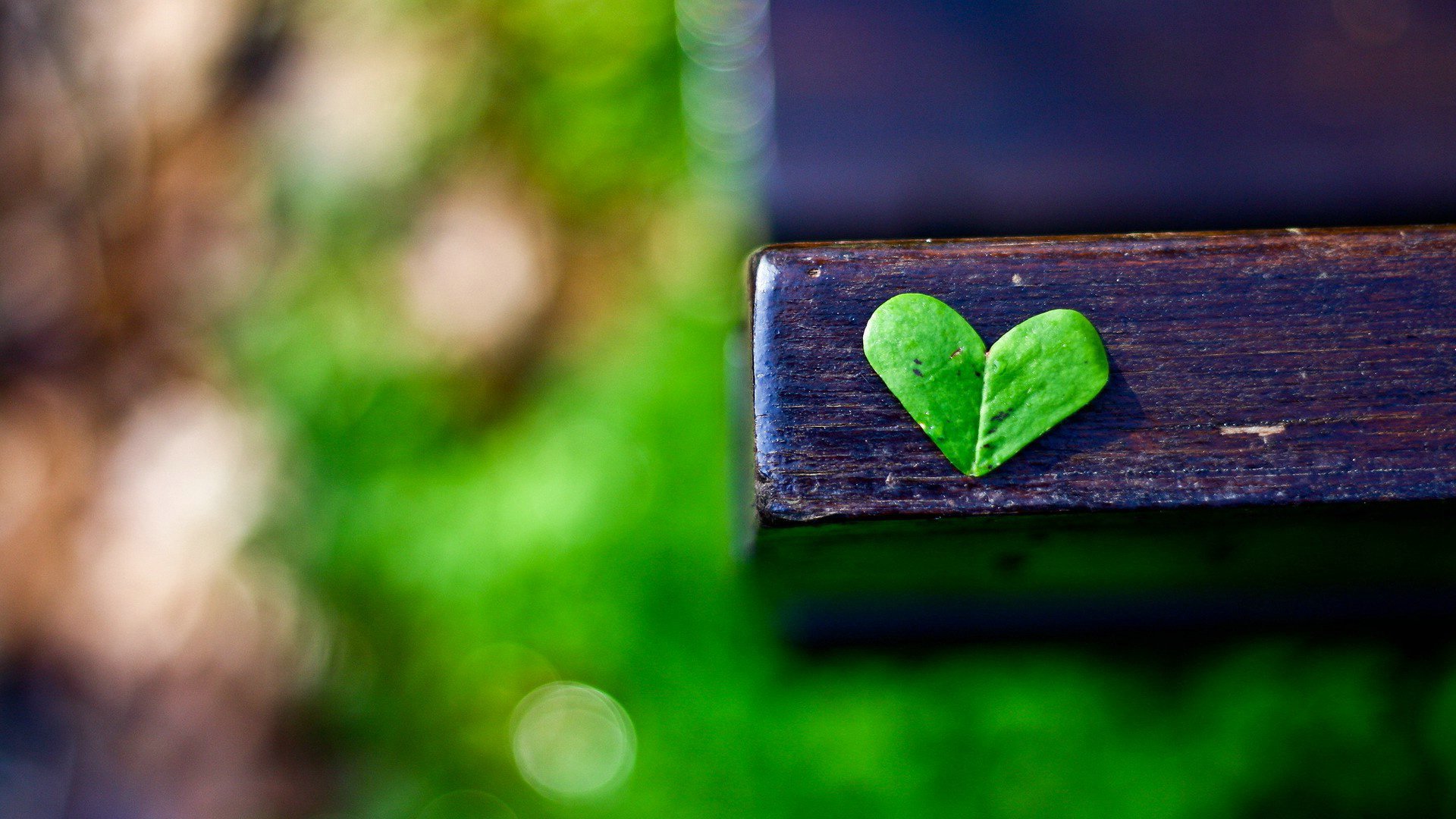 爱情美图,唯美温馨,爱心树叶