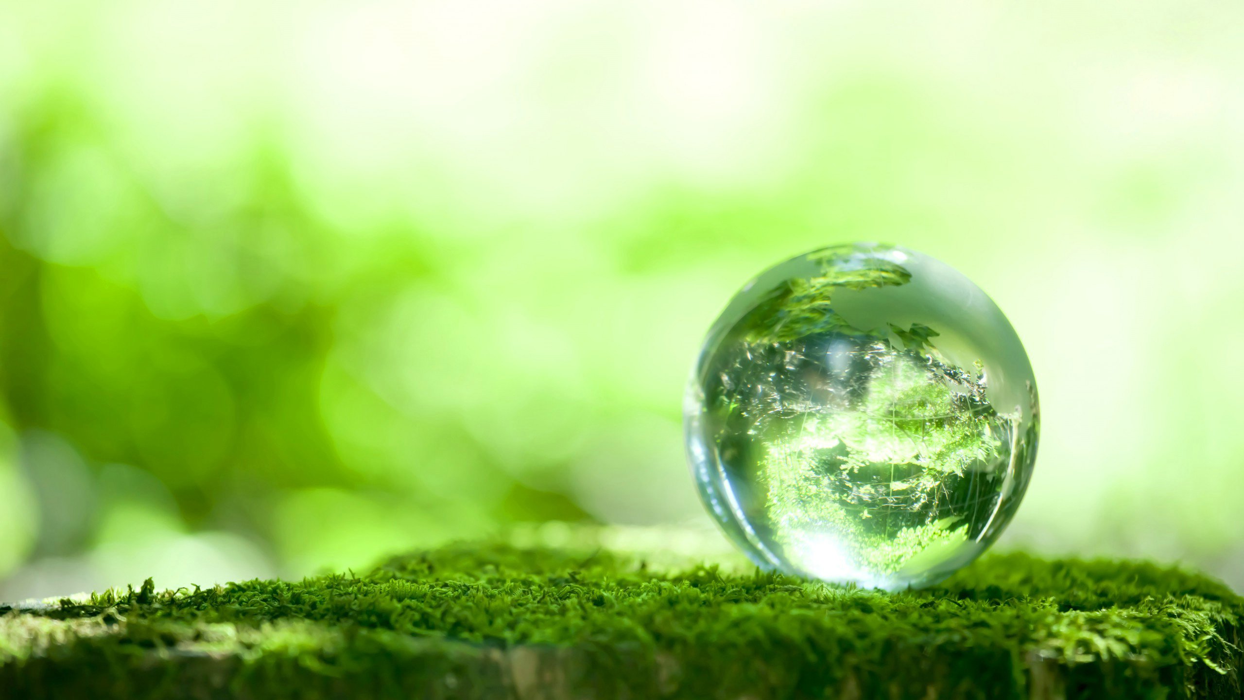 小清新,护眼壁纸,儿童桌面专用