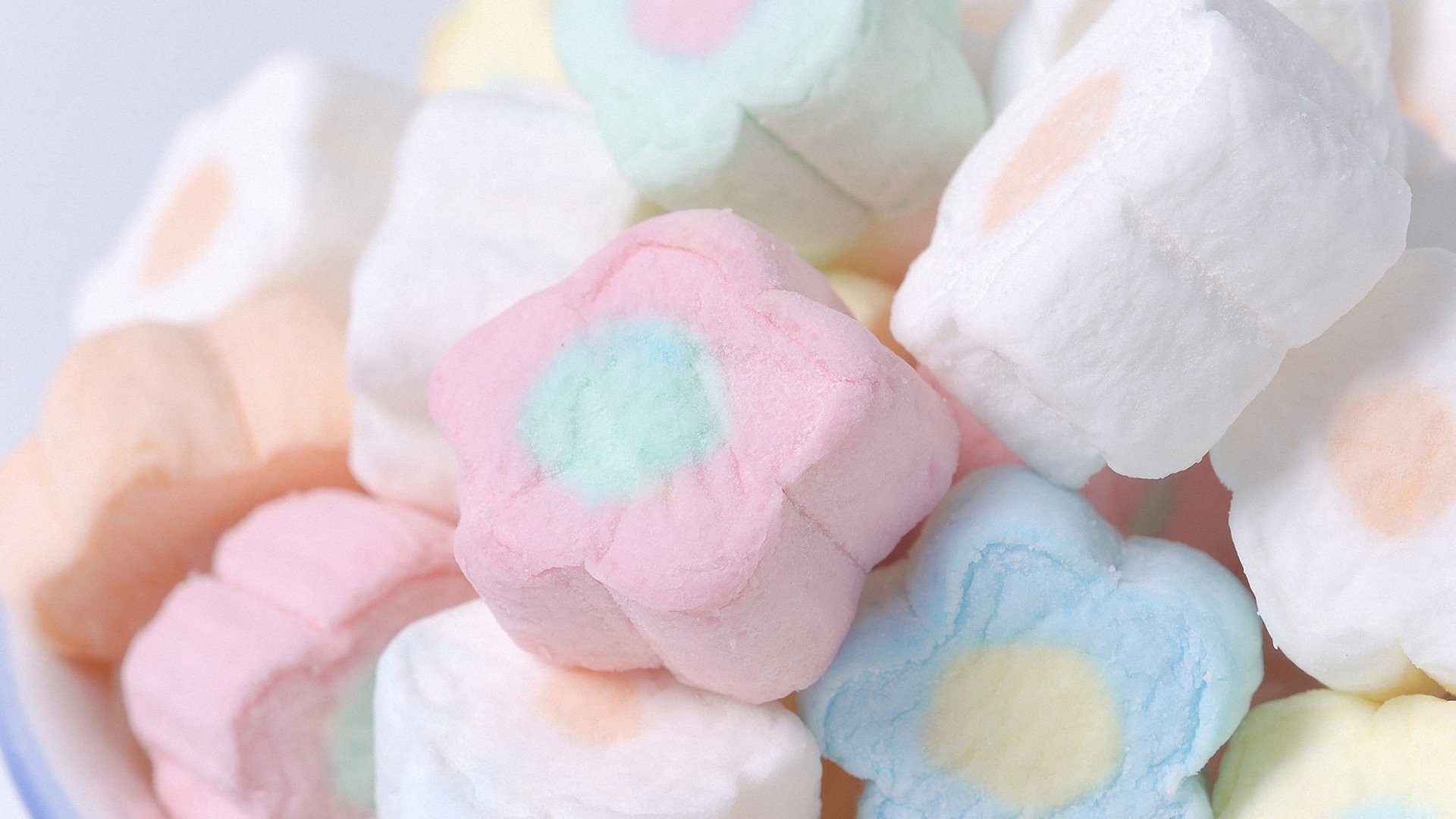 小清新,静物写真,儿童桌面专用