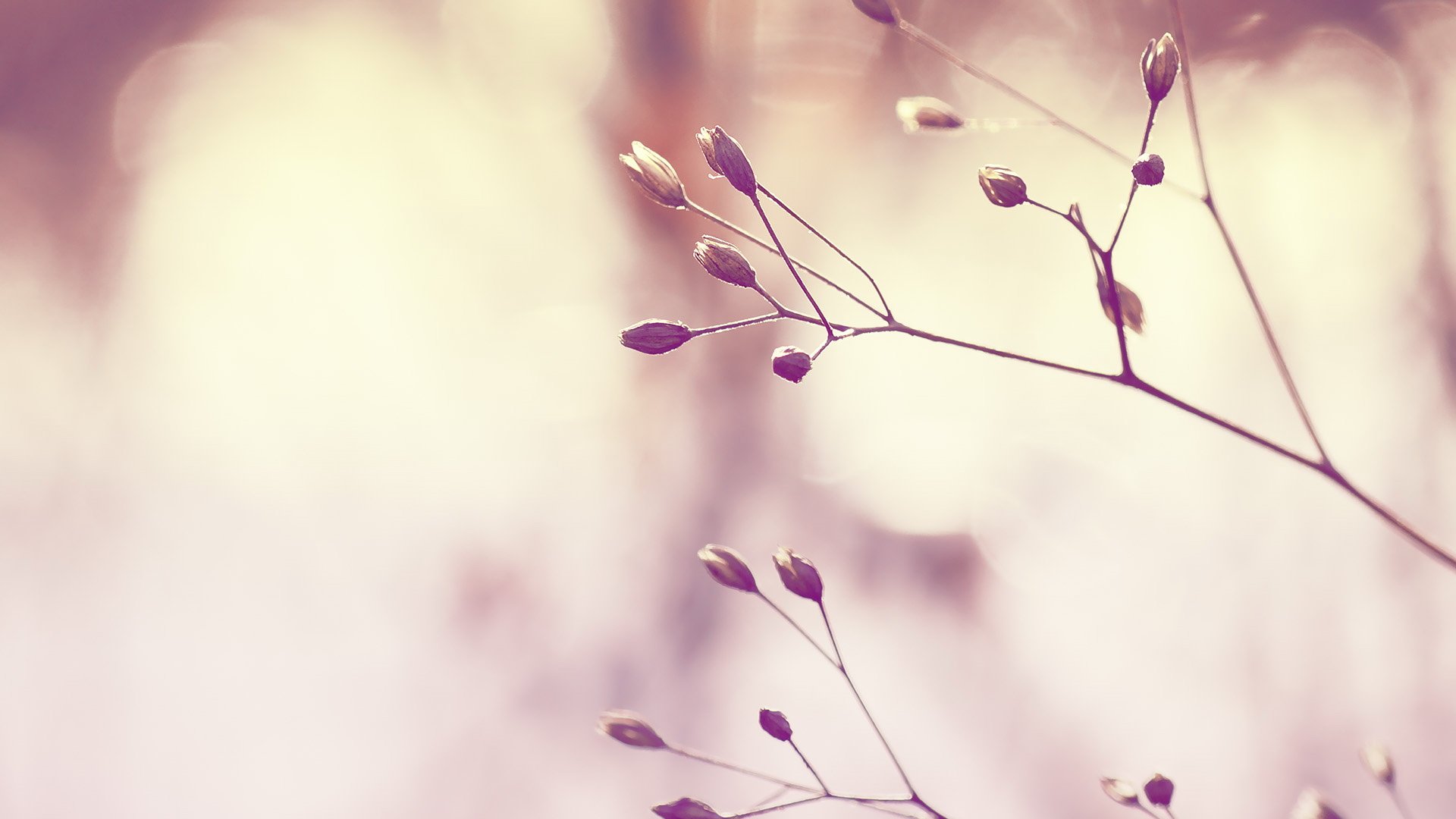 小清新,清新淡雅,儿童桌面专用