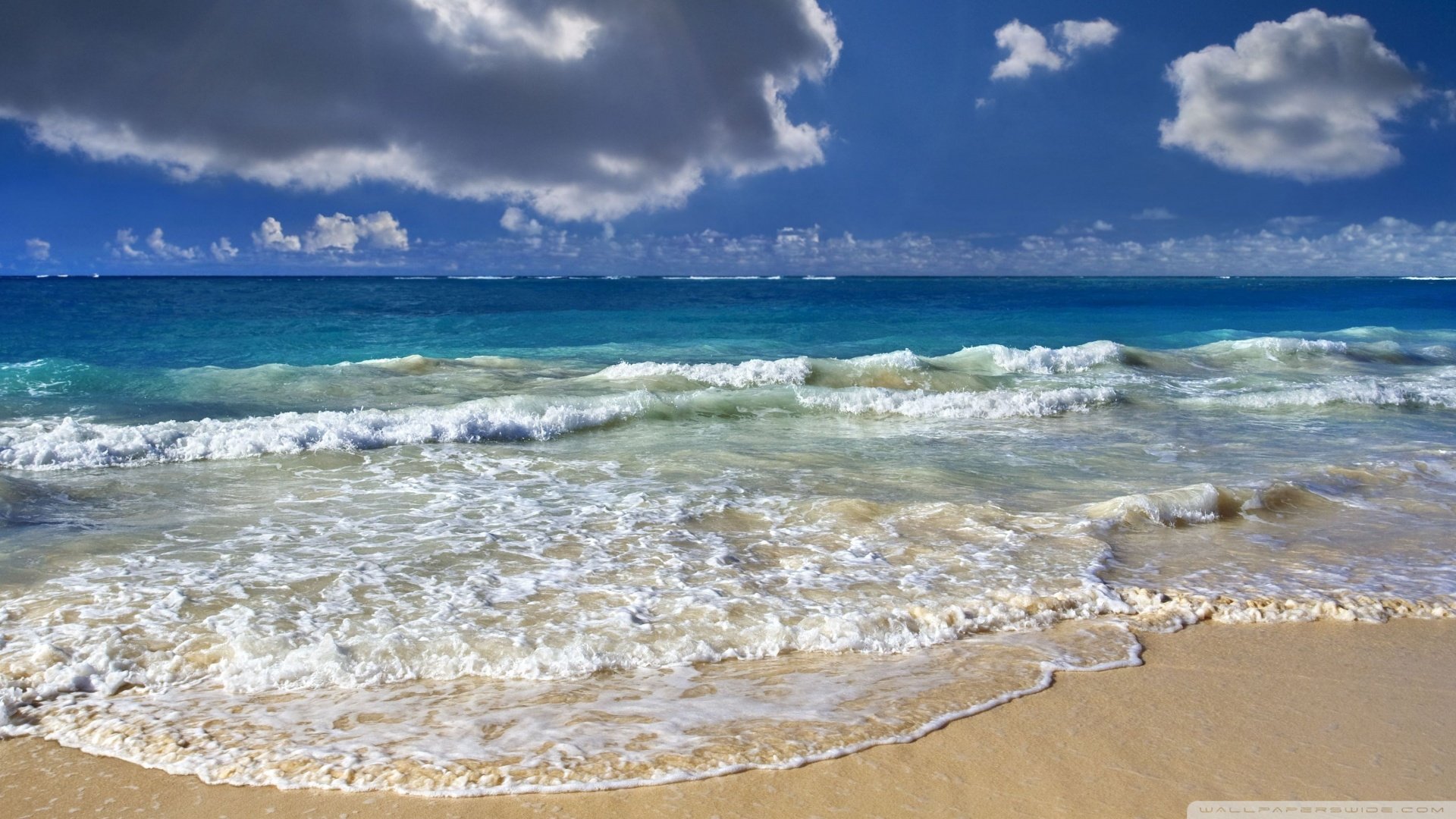 风景,海洋天堂,儿童桌面专用