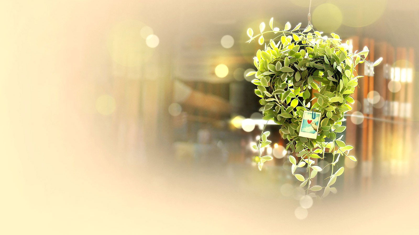 爱情美图,唯美温馨